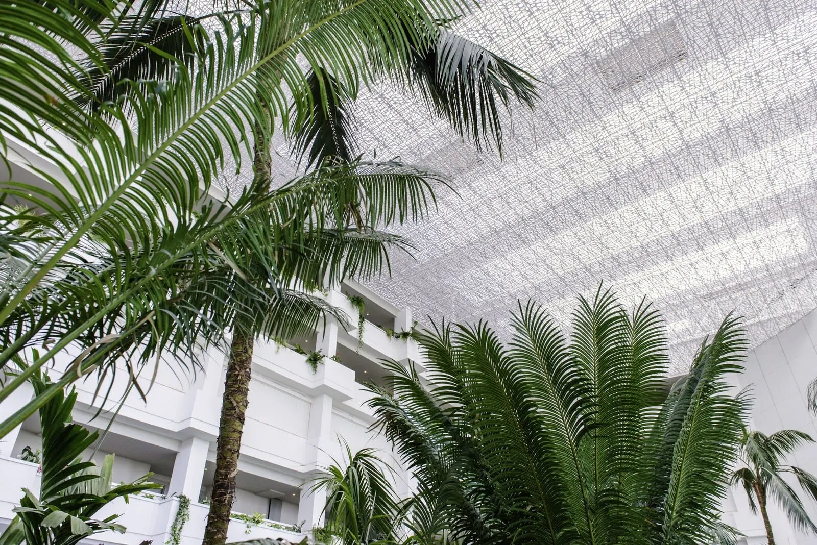 Spring Hotel Vulcano: A modern building with a high ceiling and a netted structure