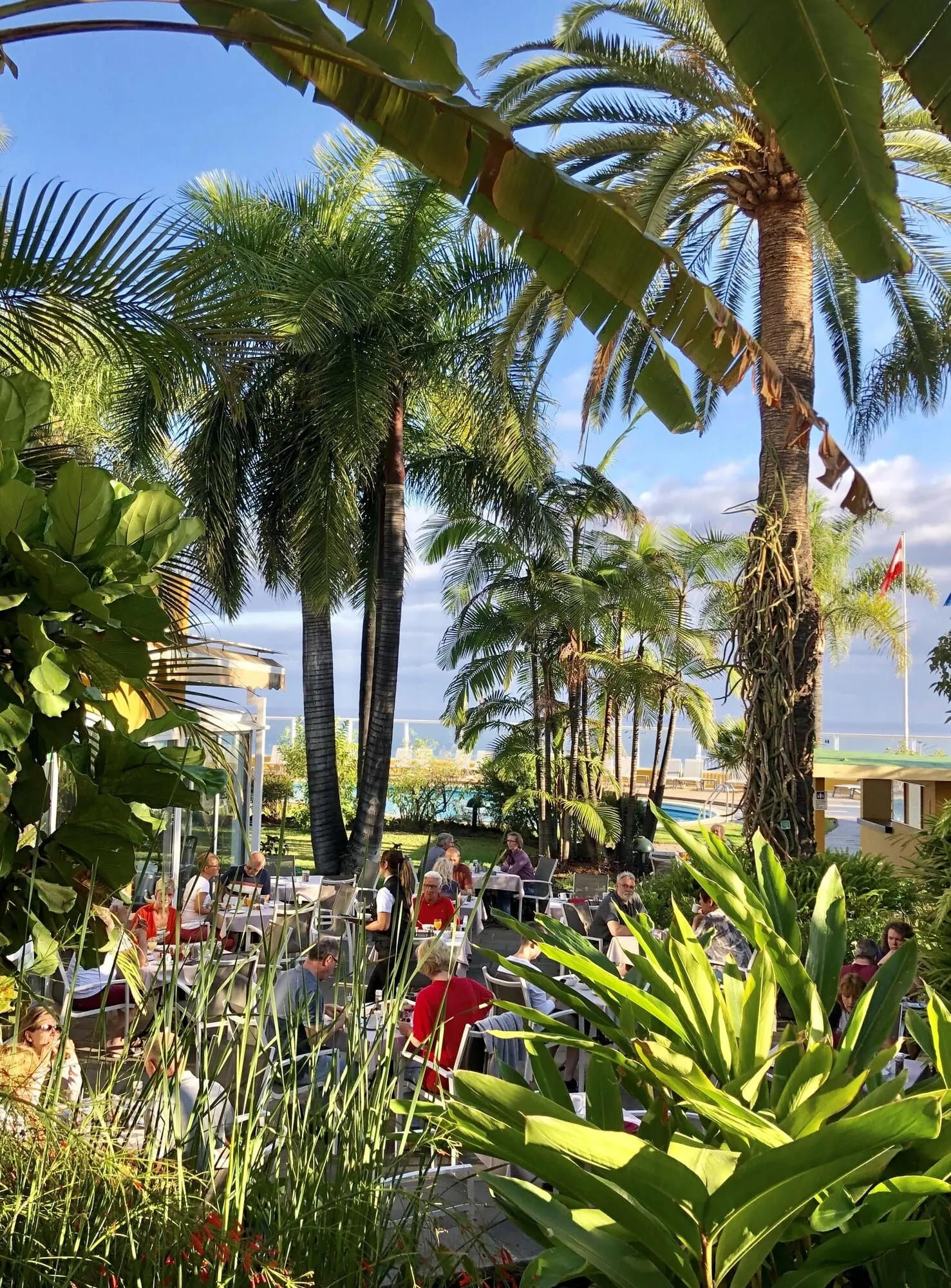 Hotel Tigaiga: An outdoor dining area with palm trees and a view of the ocean