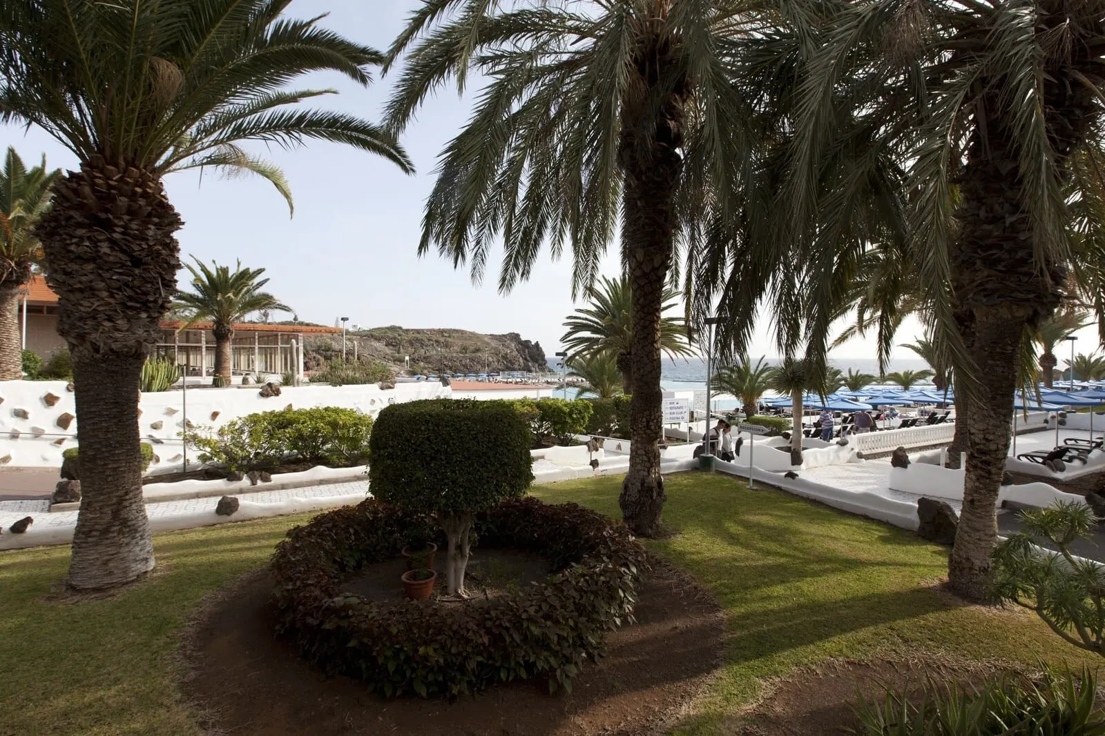 Ona Alborada: A landscaped area with palm trees, a neatly trimmed bush, and a paved walkway