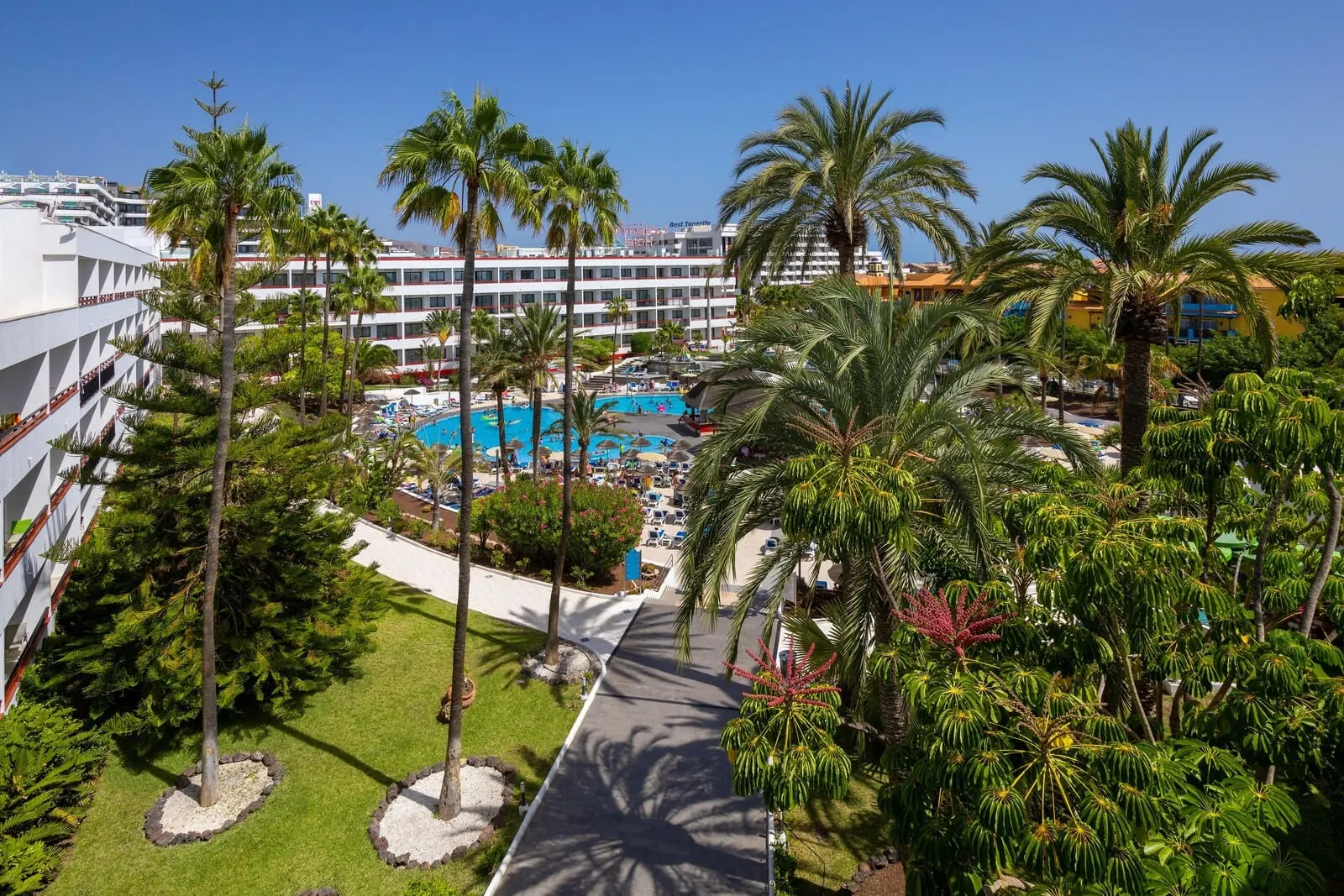 Alexandre La Siesta: A hotel with a pool surrounded by palm trees and a clear blue sky