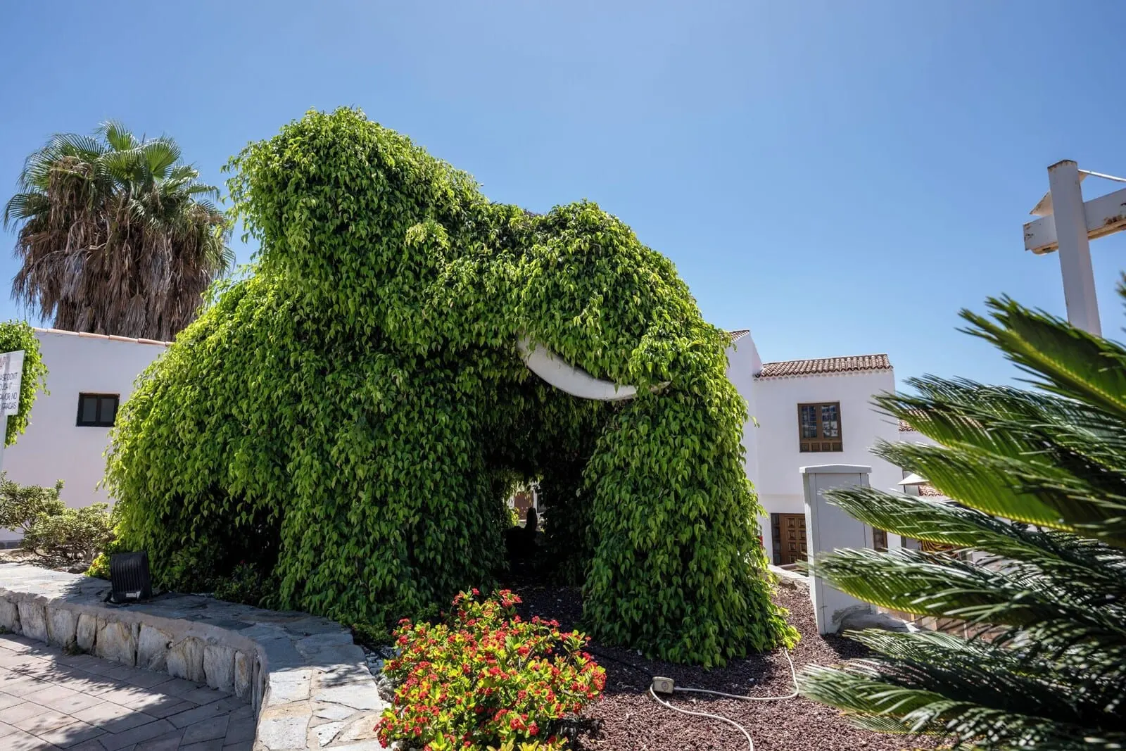 Ona Las Rosas: A white building with a covered entrance