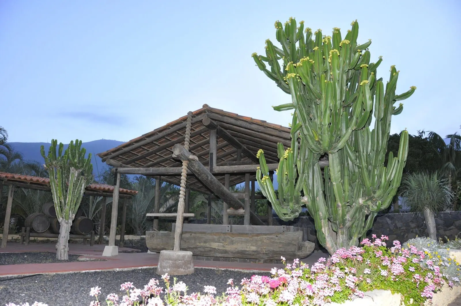 Hotel Rural Finca Salamanca: A wooden pavilion with a tiled roof, surrounded by cacti and flowering plants