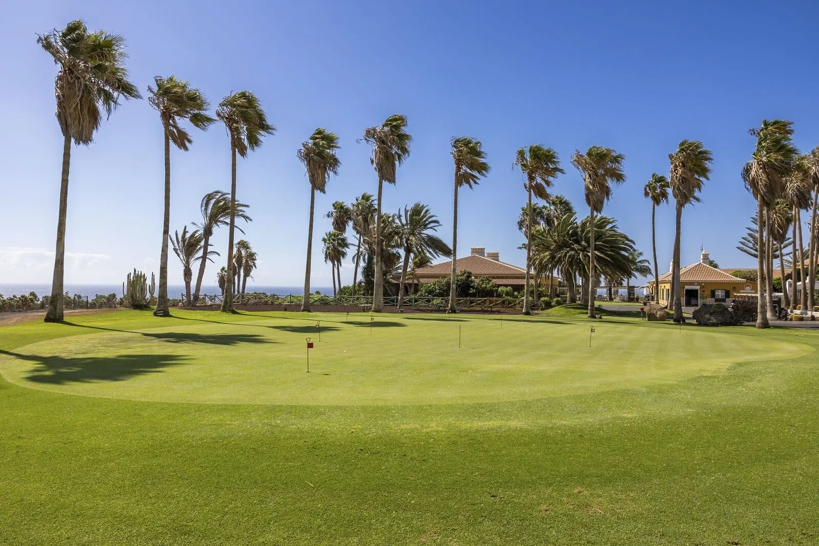 Barceló Tenerife: A golf course with palm trees and a clear sky