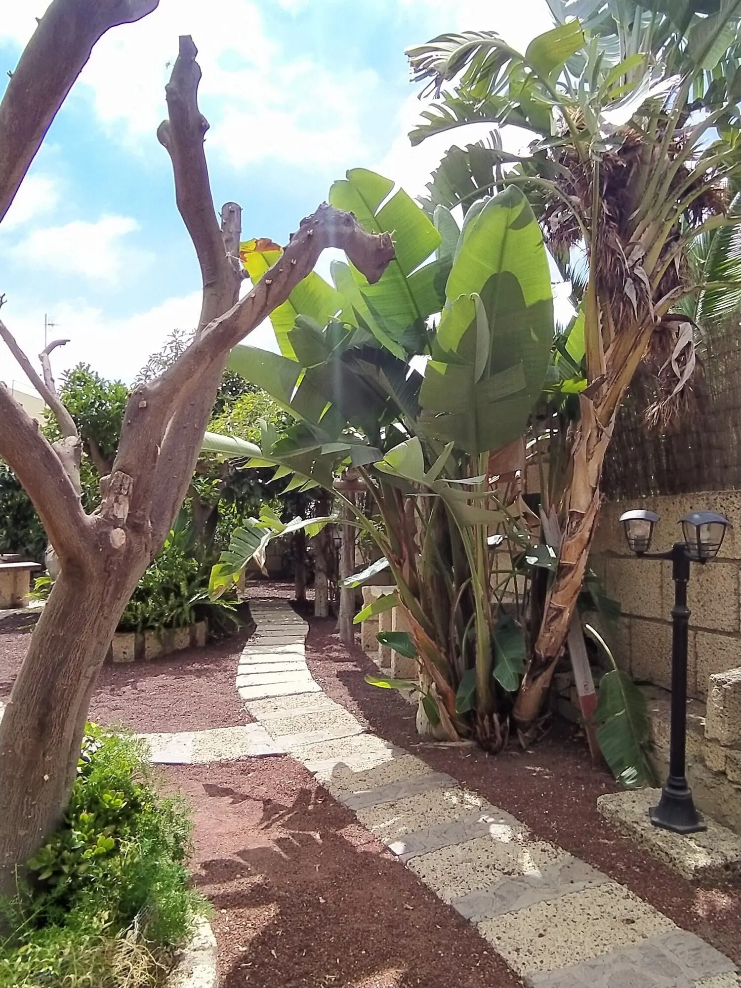 Hotel Rural Senderos de Abona: A garden pathway with banana plants and a brick wall