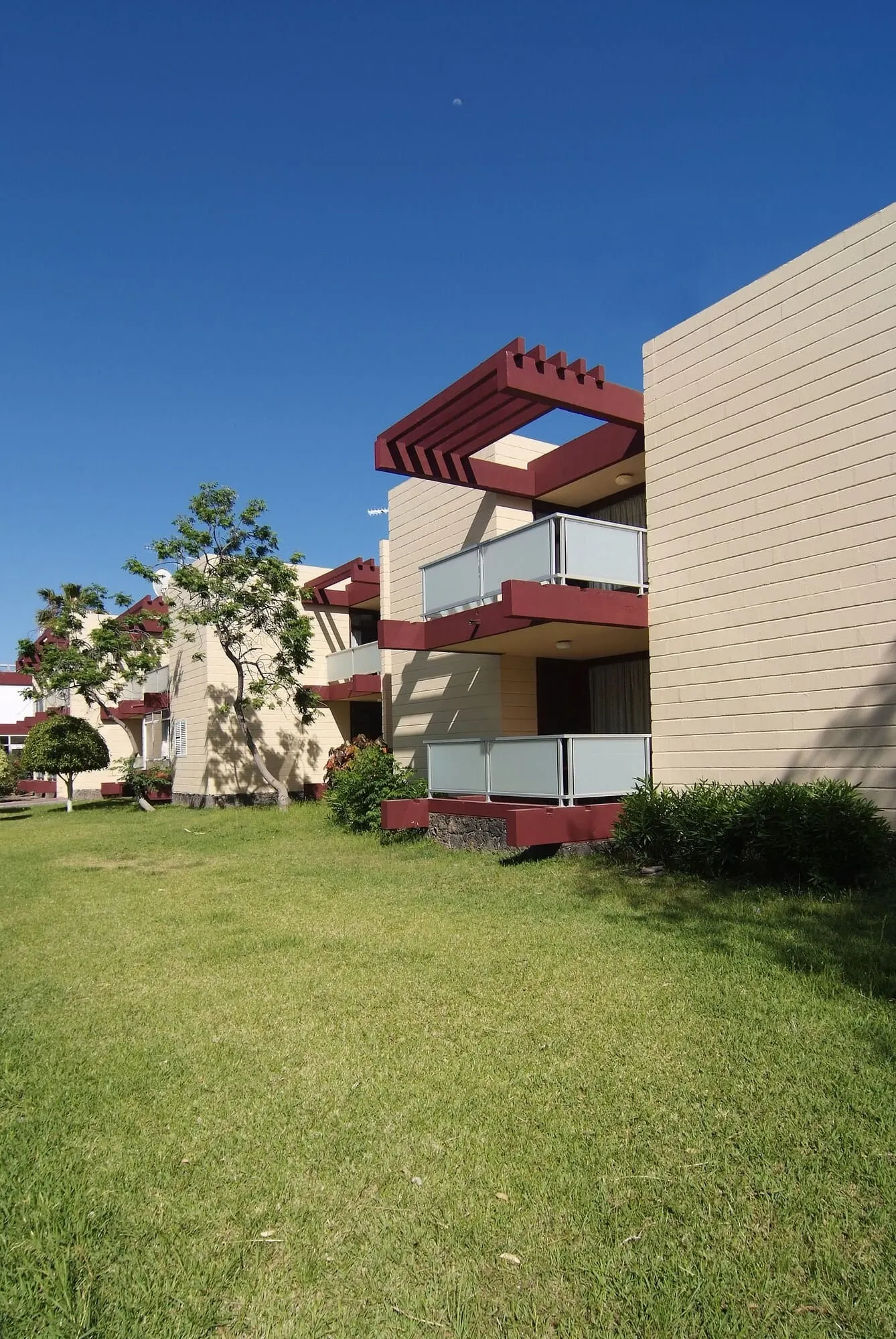 Hotel Palia Don Pedro: Garden