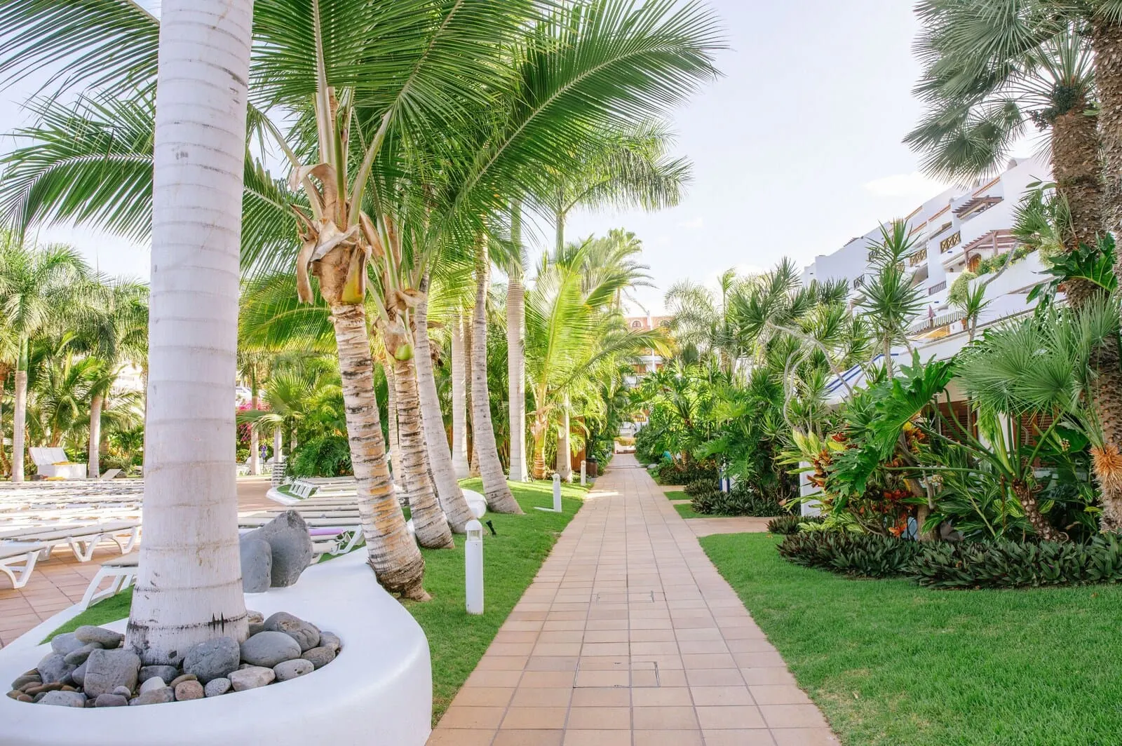 Parque Santiago III: A pathway lined with palm trees and a pool area with lounge chairs