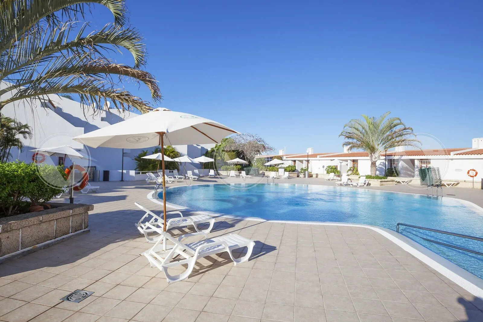 Malibu Park: A swimming pool with lounge chairs and umbrellas
