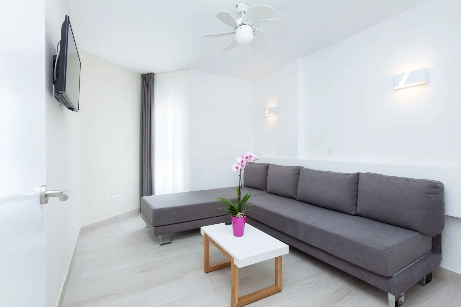 Playaolid Suites & Apartments: A modern living room with a grey sofa, a white coffee table, and a potted orchid