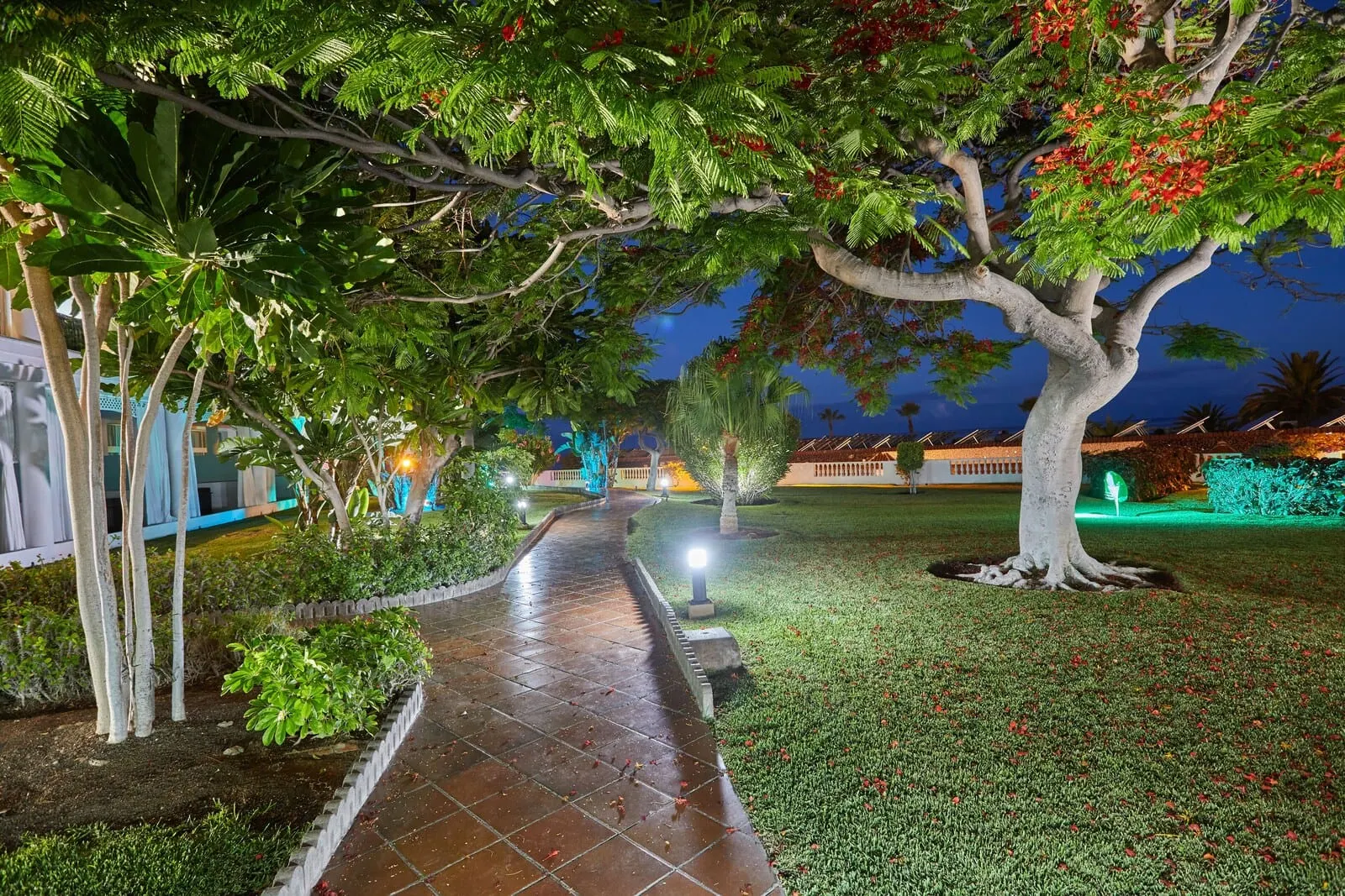 TUI Blue Los Gigantes: A nighttime garden pathway with trees and illuminated lights