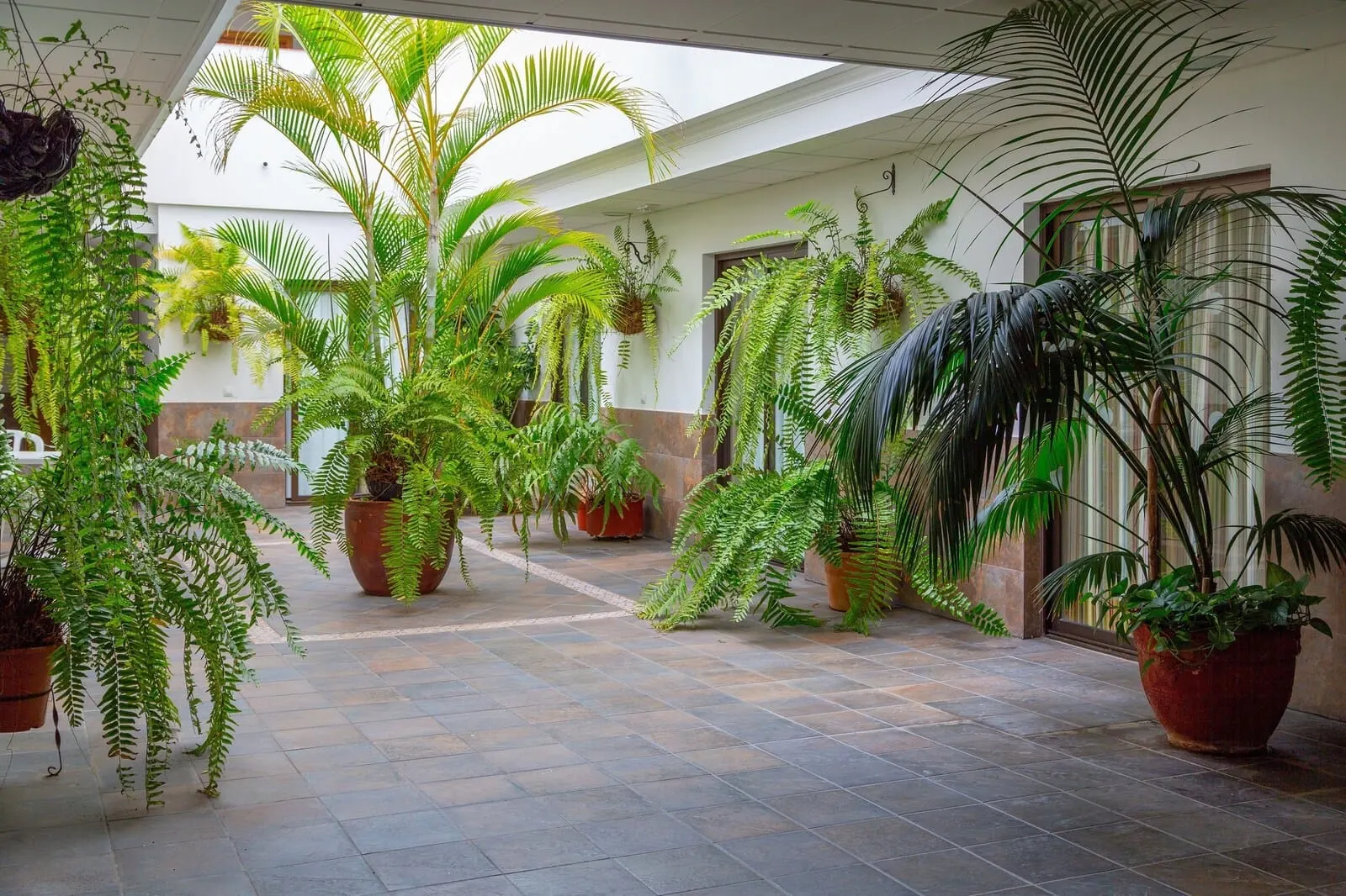 Marquesa Hotel: A spacious indoor area with a variety of potted plants and a tiled floor