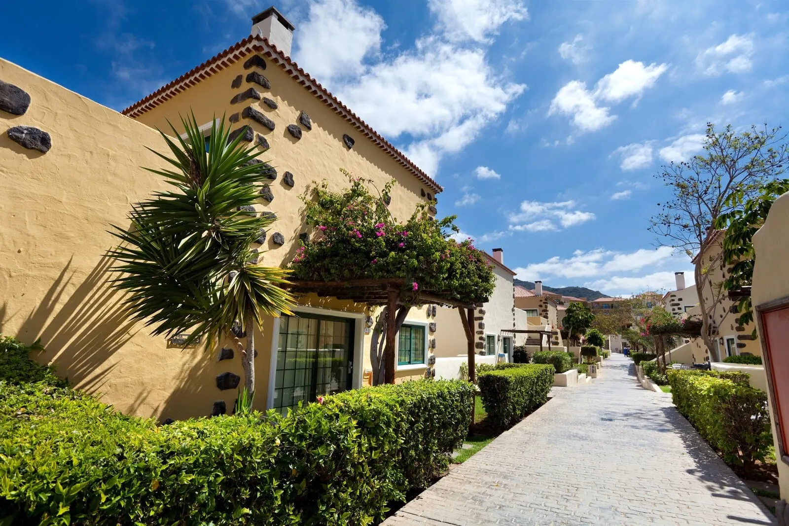 GF Isabel: A pathway lined with neatly trimmed hedges and a palm tree