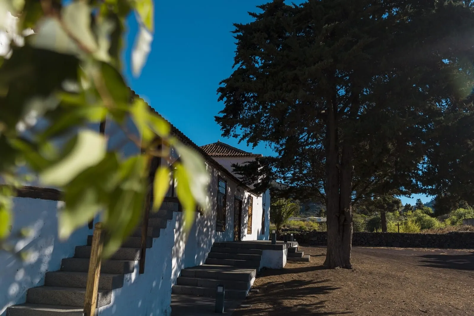 Hotel La Casona del Patio: A building with a staircase leading to a door, surrounded by trees and a clear sky
