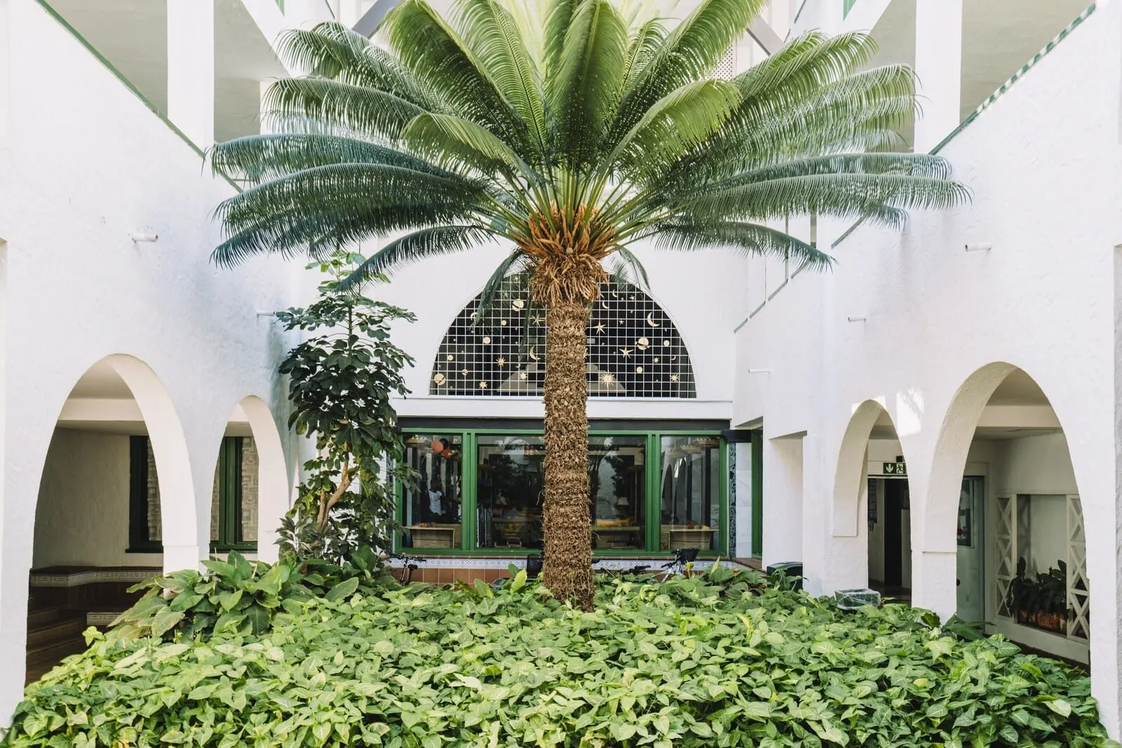 Park Club Europe: A spacious atrium with a central palm tree surrounded by lush greenery, white walls