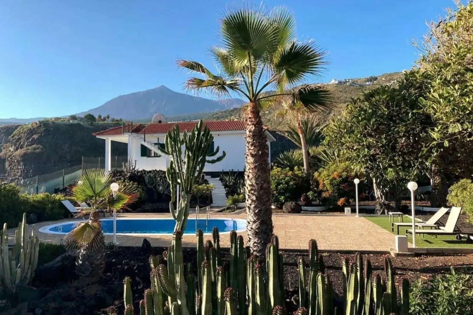 Hotel El Patio: A villa with a pool, surrounded by cacti and palm trees
