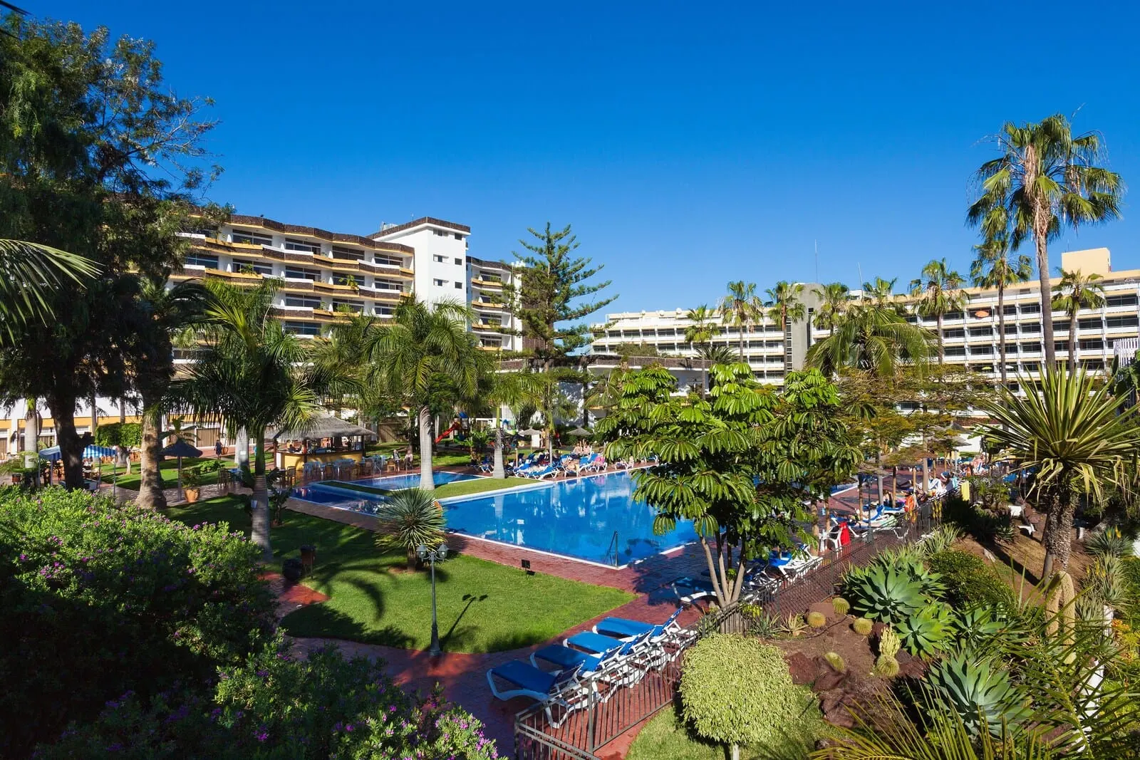 BLUESEA Puerto Resort: A hotel with a swimming pool surrounded by palm trees and a well-maintained lawn