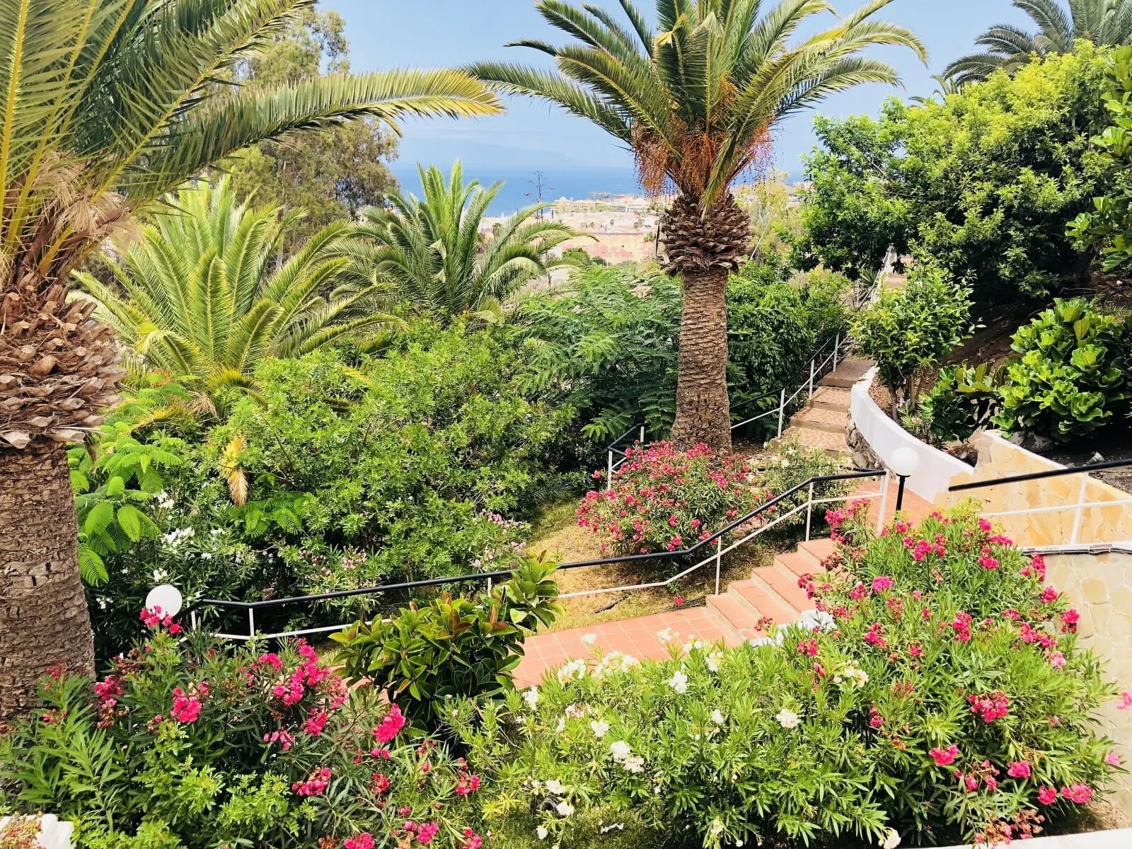 Regency Torviscas Apartments & Suites: A garden with palm trees, flowering plants, and a stone staircase