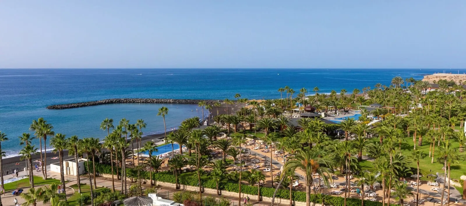 Hotel Riu Arecas: A resort with a pool, palm trees, and a view of the ocean