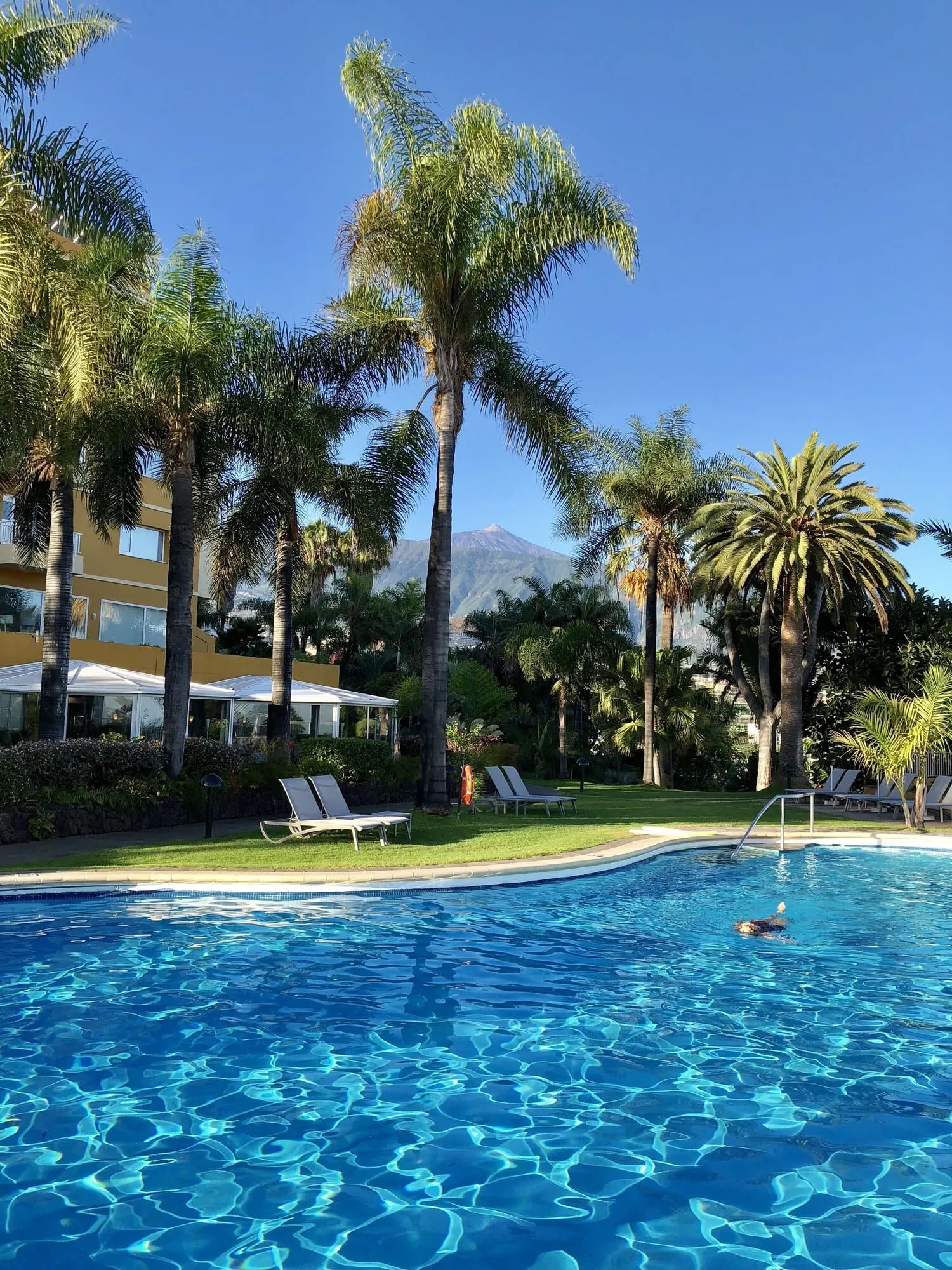 Hotel Tigaiga: A pool surrounded by palm trees and lounge chairs, with a mountain in the background