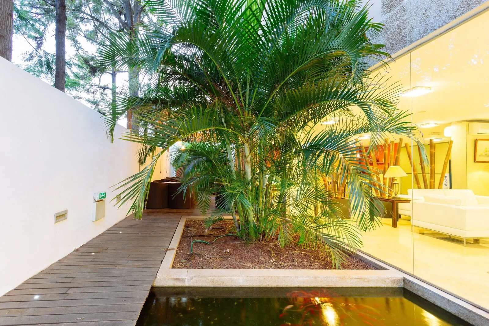 Hotel Colón Rambla: A modern indoor garden with a water feature, wooden flooring, and a white wall