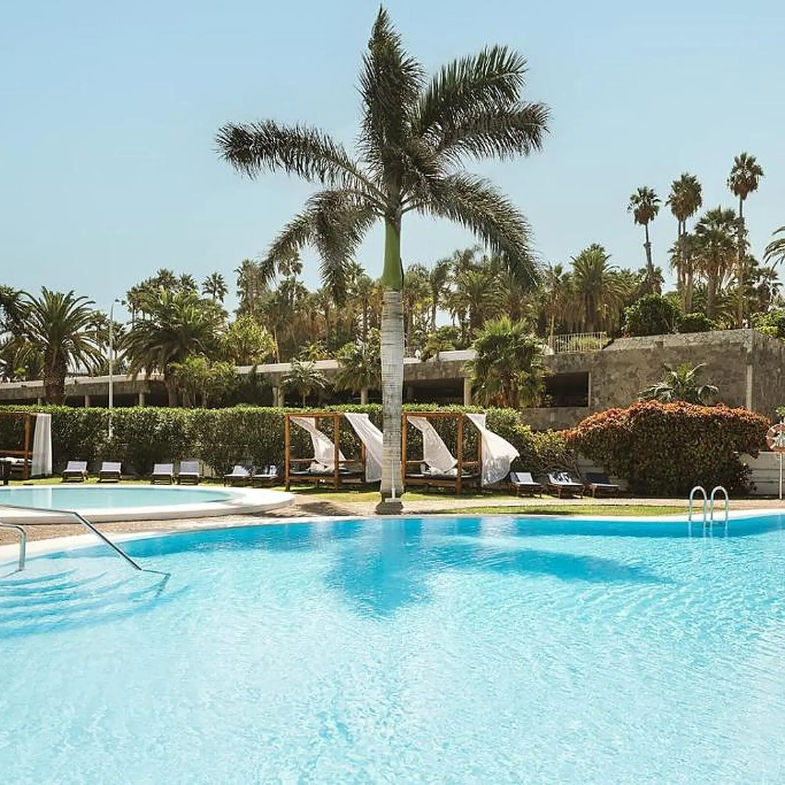 Precise Resort Tenerife: A swimming pool with lounge chairs and palm trees