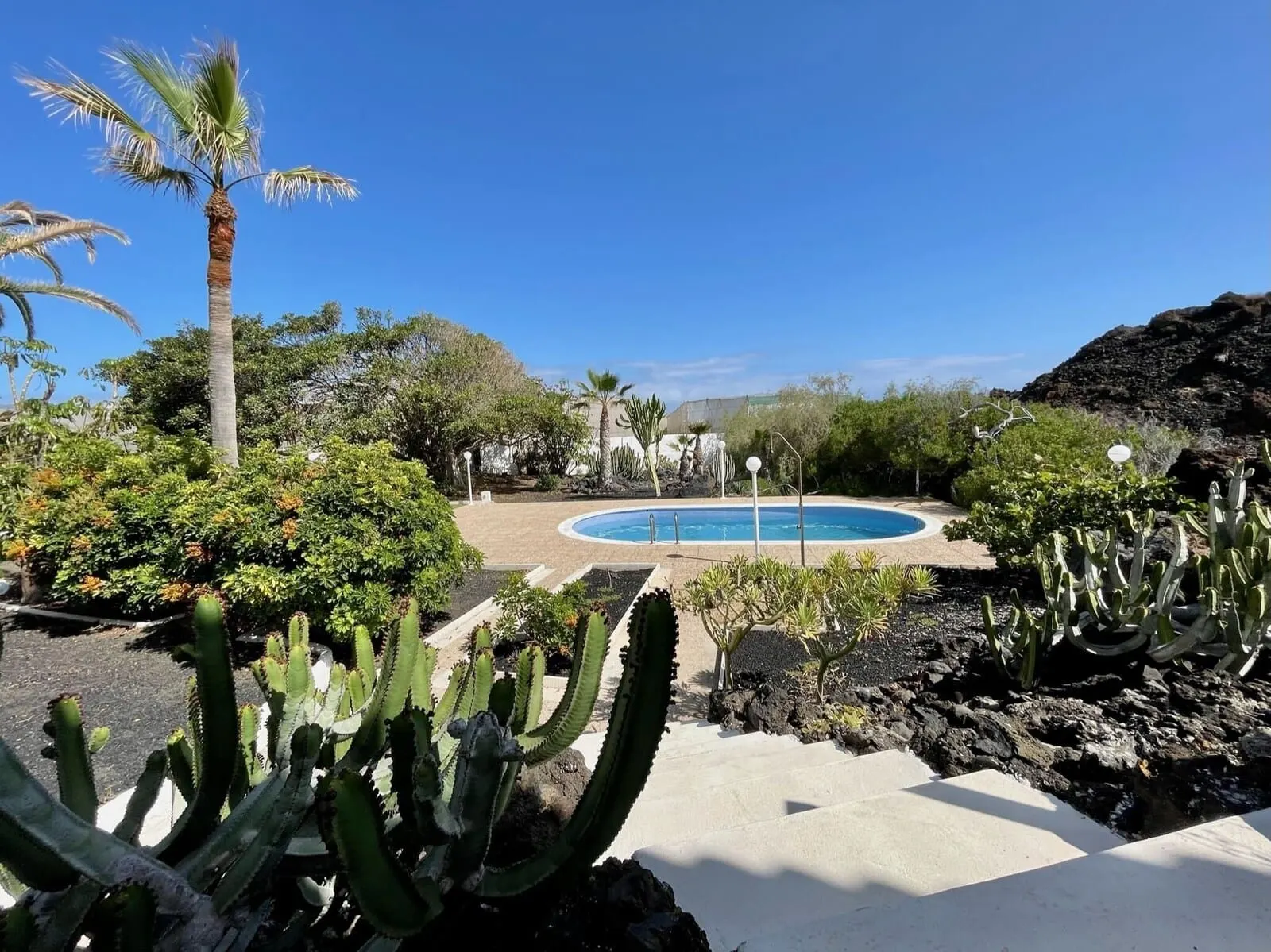 Hotel El Patio: A pool surrounded by cacti and palm trees, with a clear blue sky