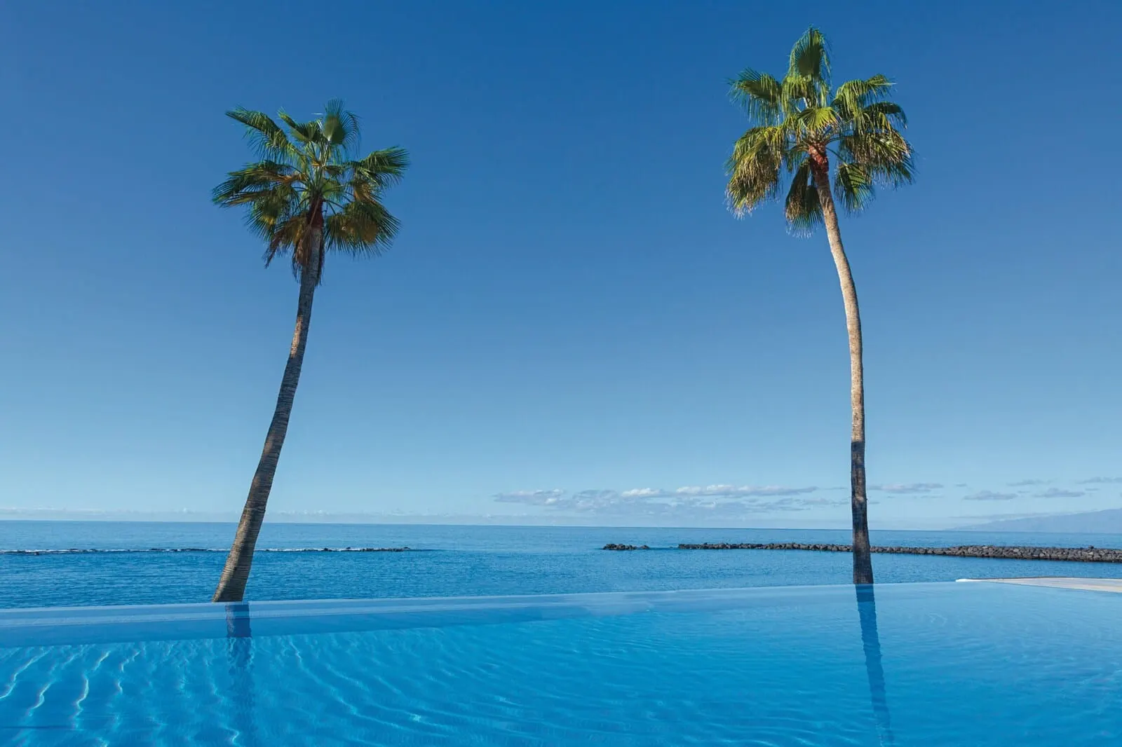 Hotel Riu Arecas: A clear blue sky with two palm trees and a calm sea
