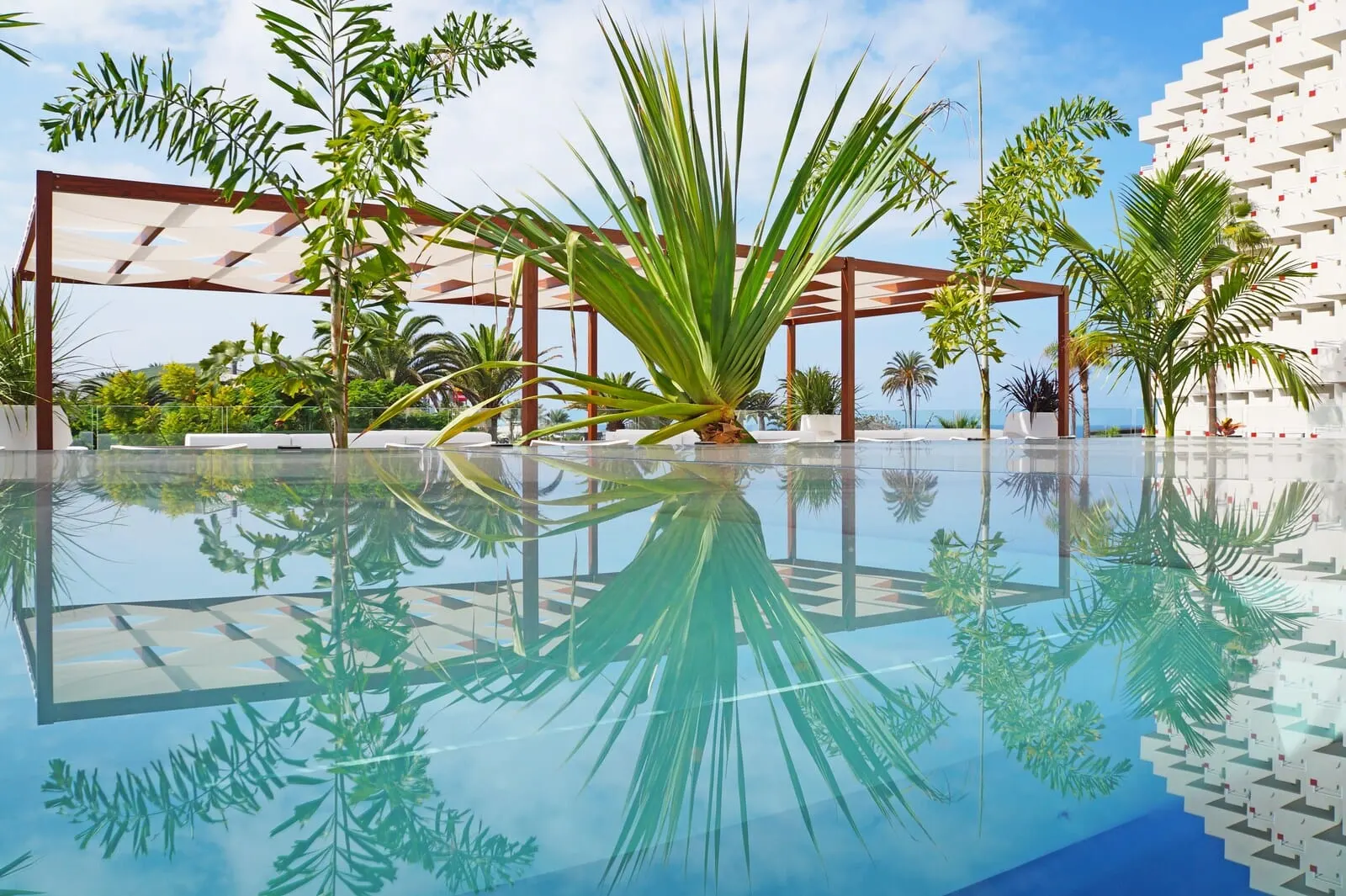 Alexandre Troya: A pool area with a clear reflection of palm trees and a modern building structure