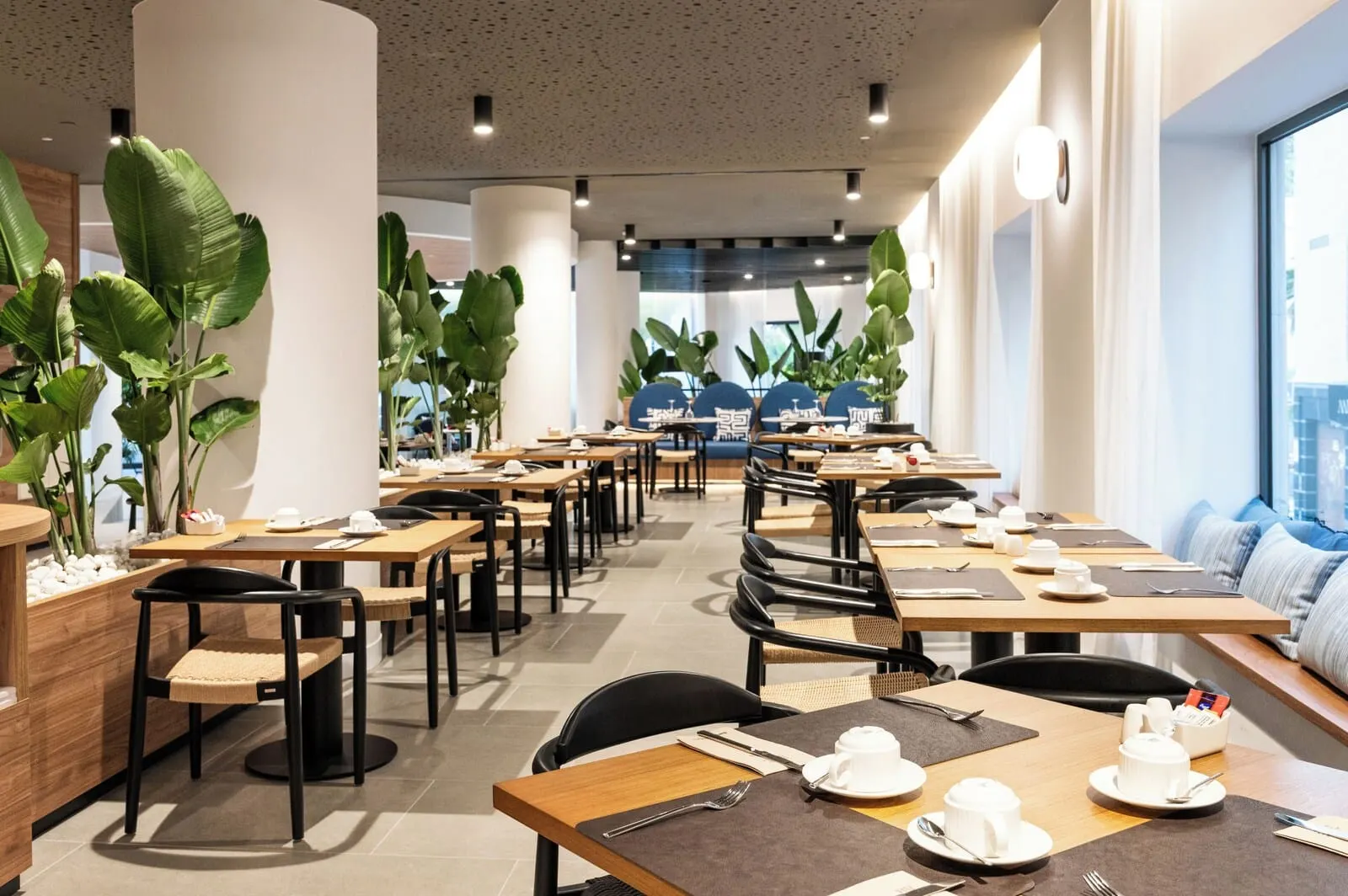 Barceló Santa Cruz Contemporáneo: A modern cafe with wooden tables and chairs, large potted plants, and a bright interior