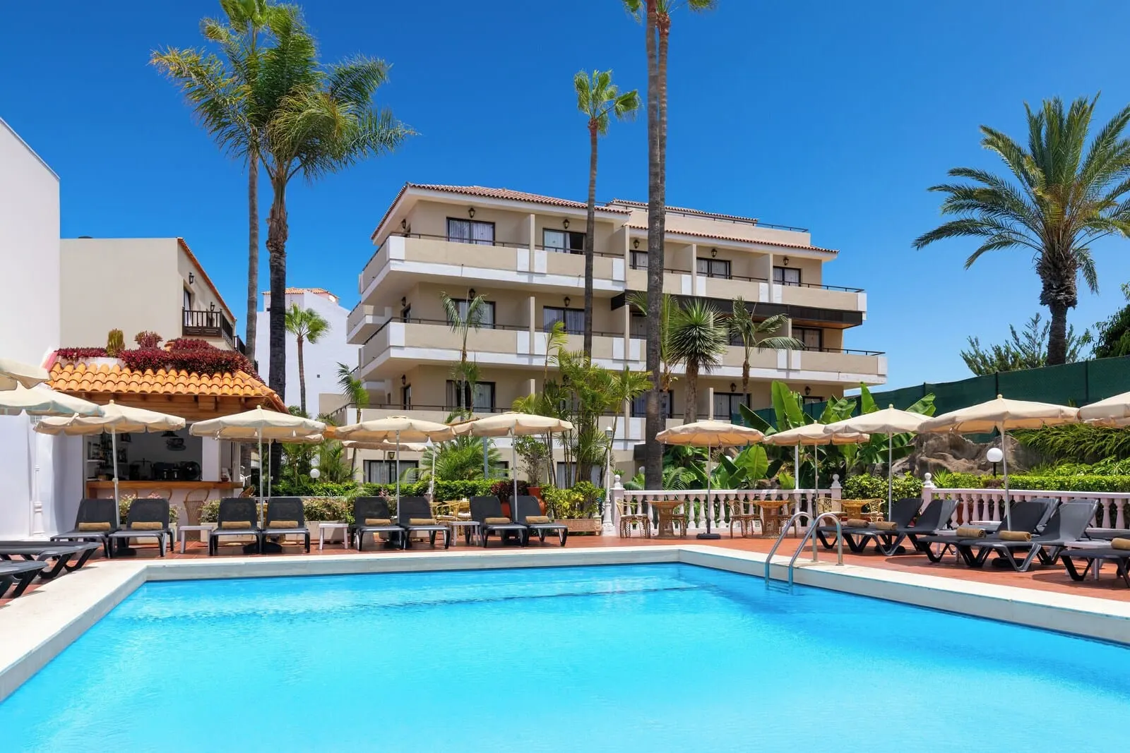 Hotel Don Manolito: A swimming pool with lounge chairs and umbrellas