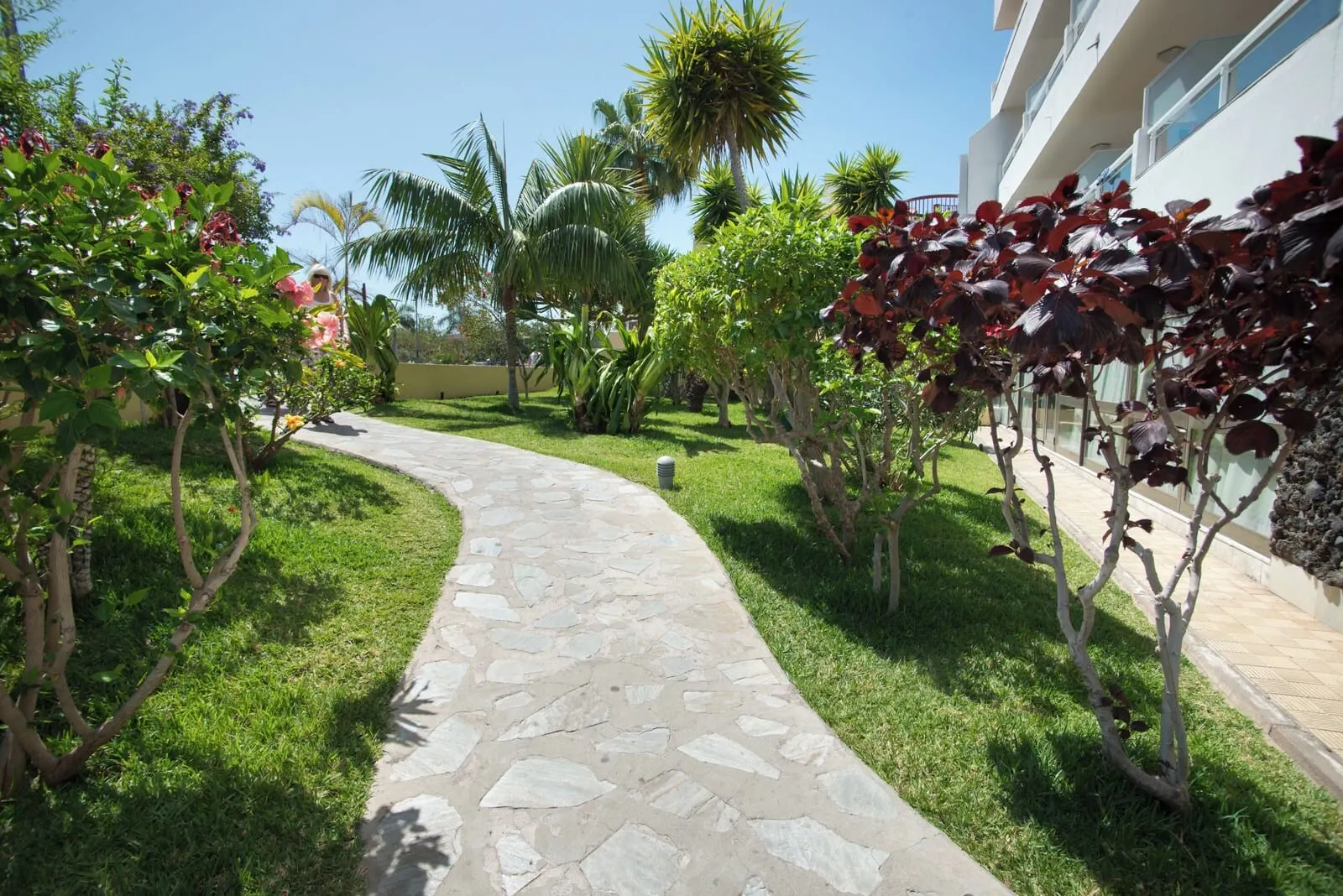 Catalonia Oro Negro: A stone pathway leading through a well-maintained garden with various plants and a palm