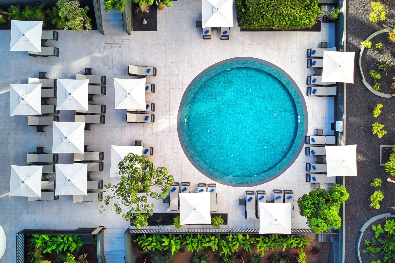 HOVIMA Suites Costa Adeje: An aerial view of a pool area with multiple lounge chairs and umbrellas arranged around