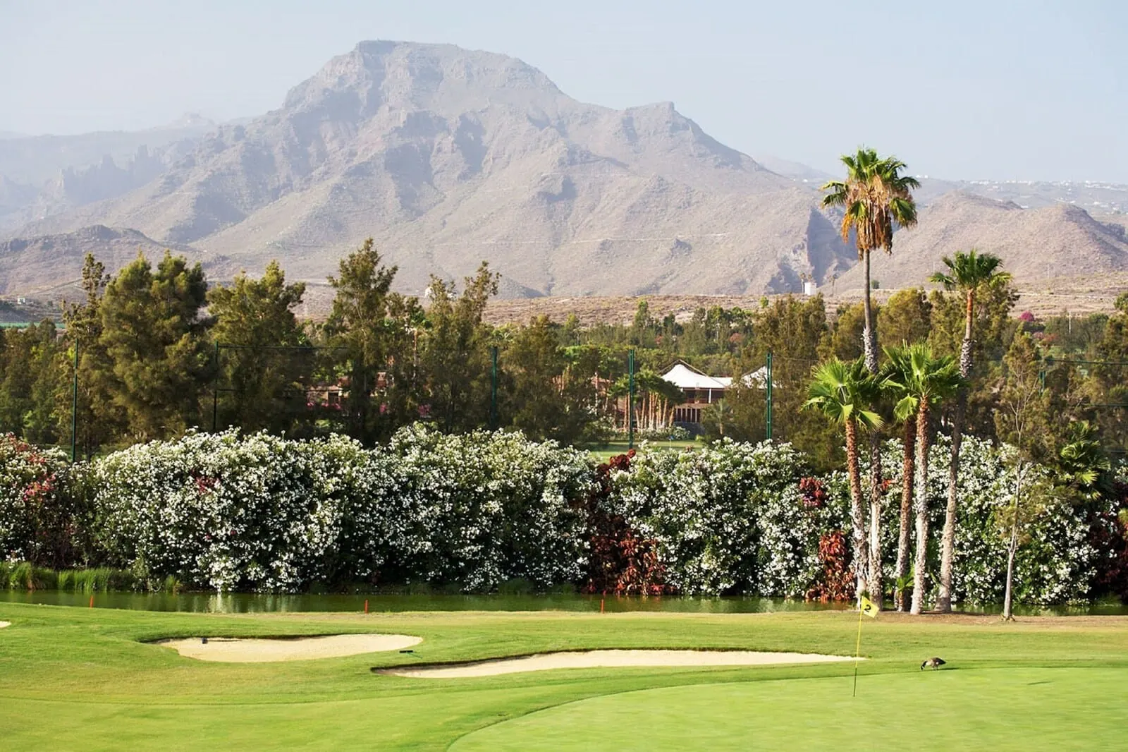 Coral Compostela Beach Golf: A golf course with a mountain backdrop, lush greenery, and a water body