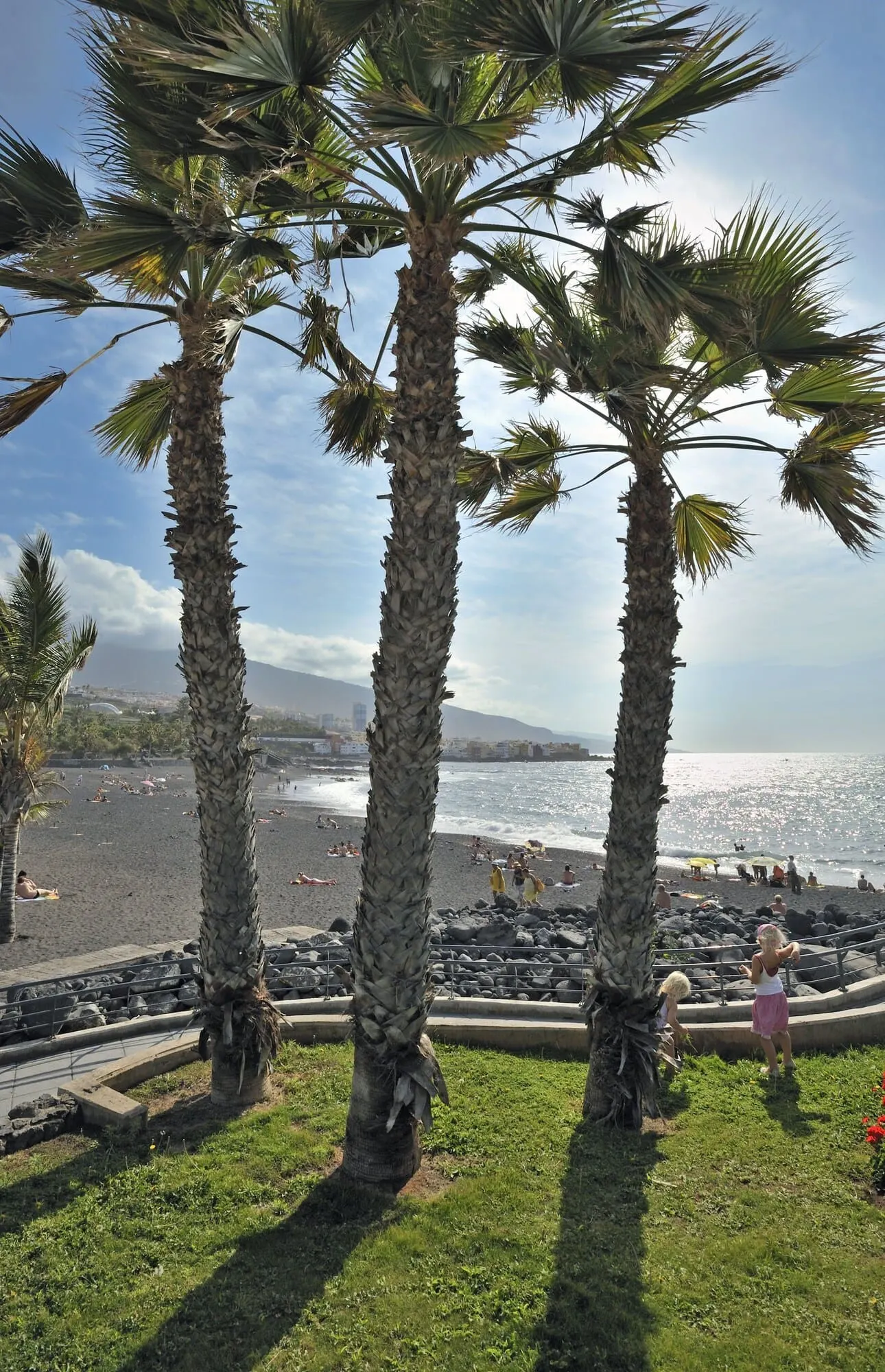 Sol Puerto de la Cruz Tenerife: A beach with palm trees, a sandy shore, and a view of the sea