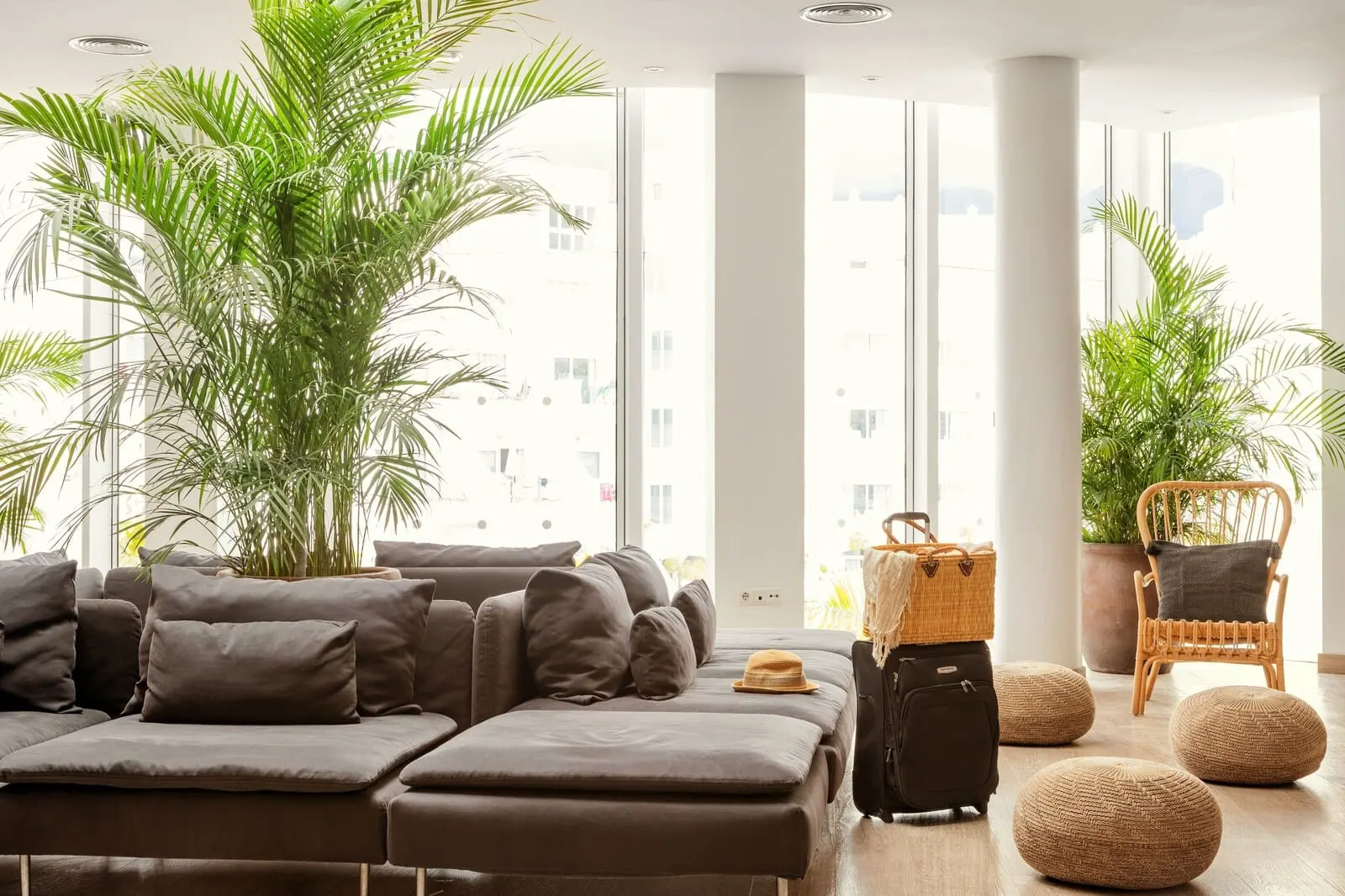 Sunwing Fañabé Beach: A modern living room with a sofa, ottomans, a wicker chair, and potted plants
