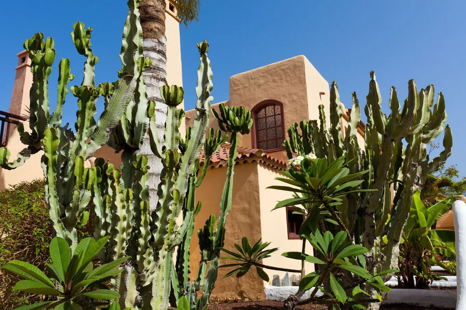 Tagoro Family & Fun Costa Adeje: A building with a beige facade and a red-tiled roof