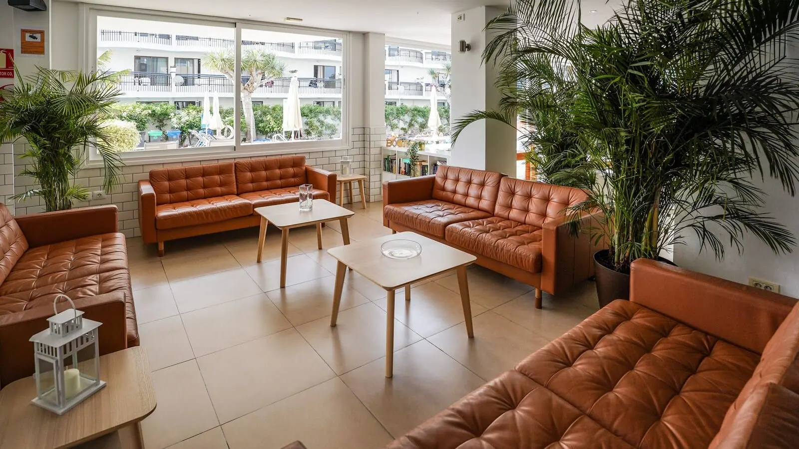 Coral California: A modern living room with leather sofas, a coffee table, and potted plants