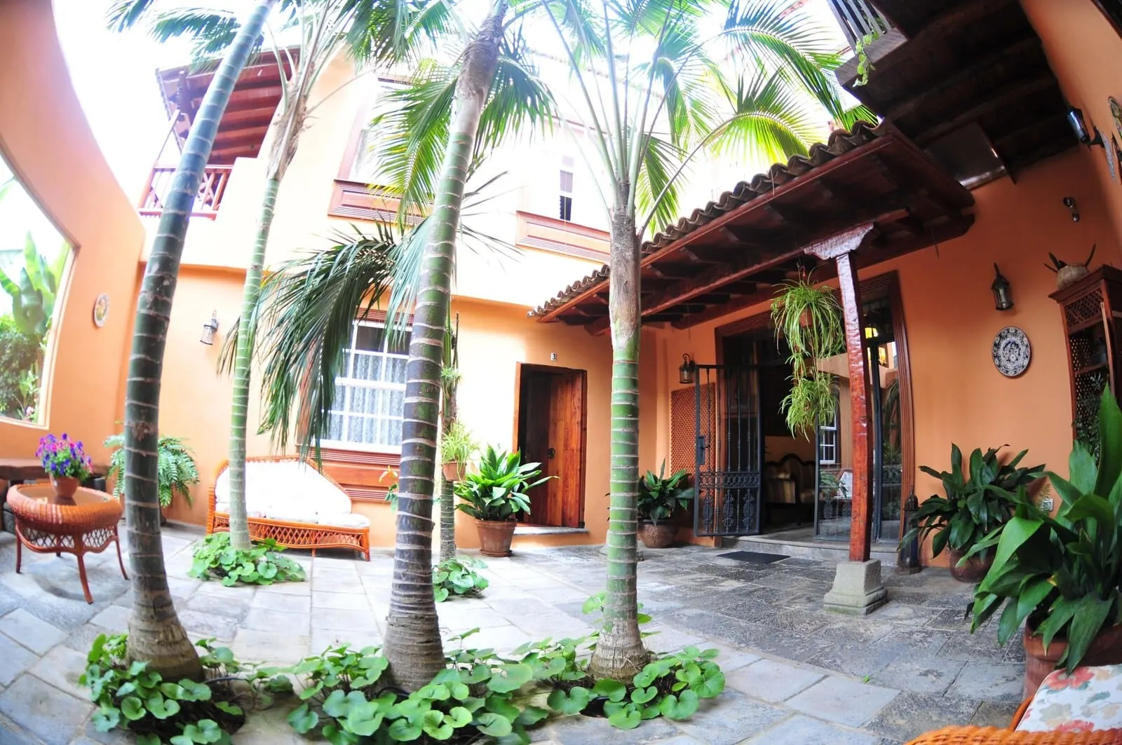 Hotel Emblemático San Marcos: A courtyard with palm trees, a wooden bench, and potted plants