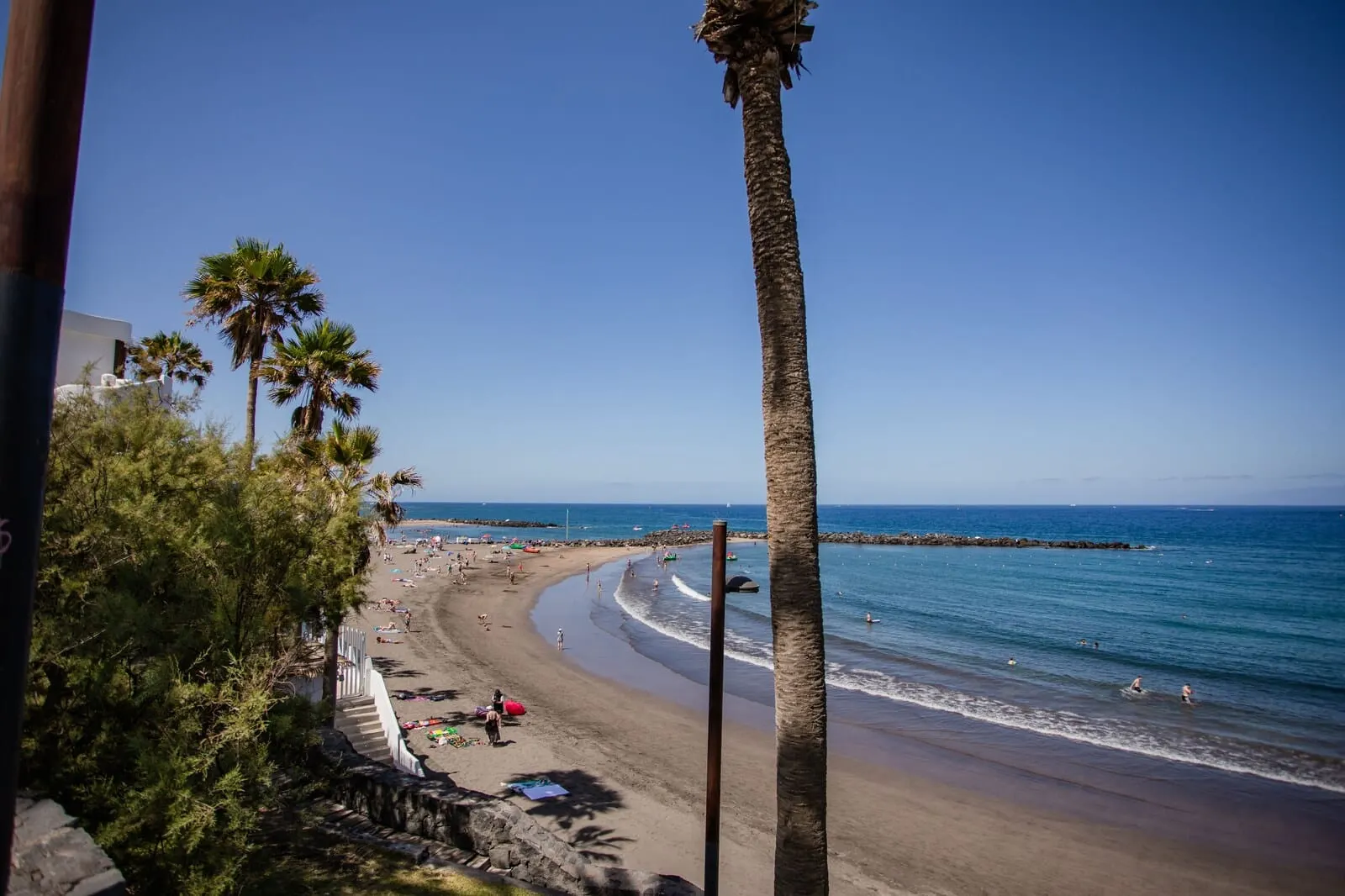 Servatur Caribe: A beach with palm trees, a clear sky, and the ocean