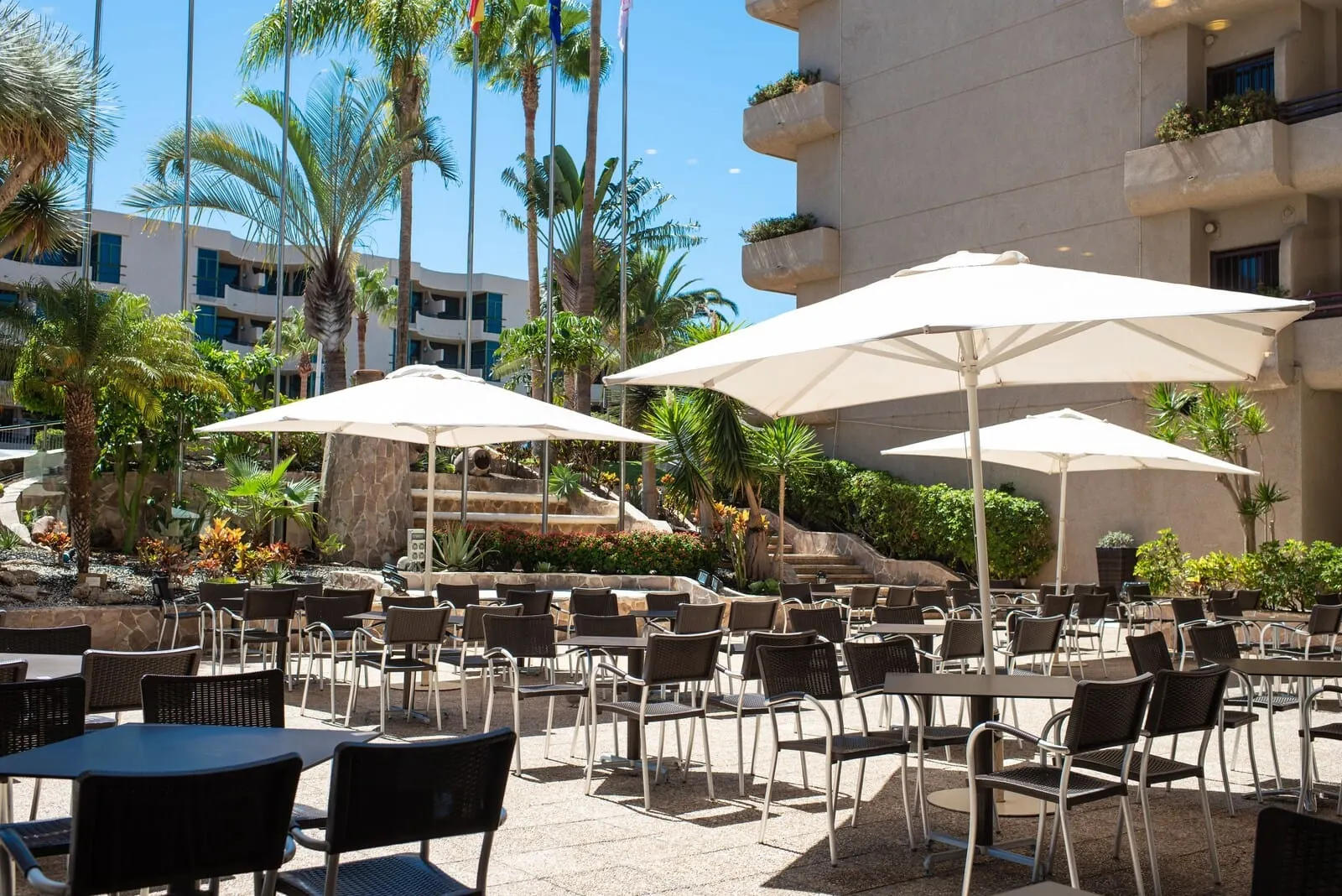 GF Fañabé: An outdoor patio area with tables and chairs, umbrellas, and palm trees