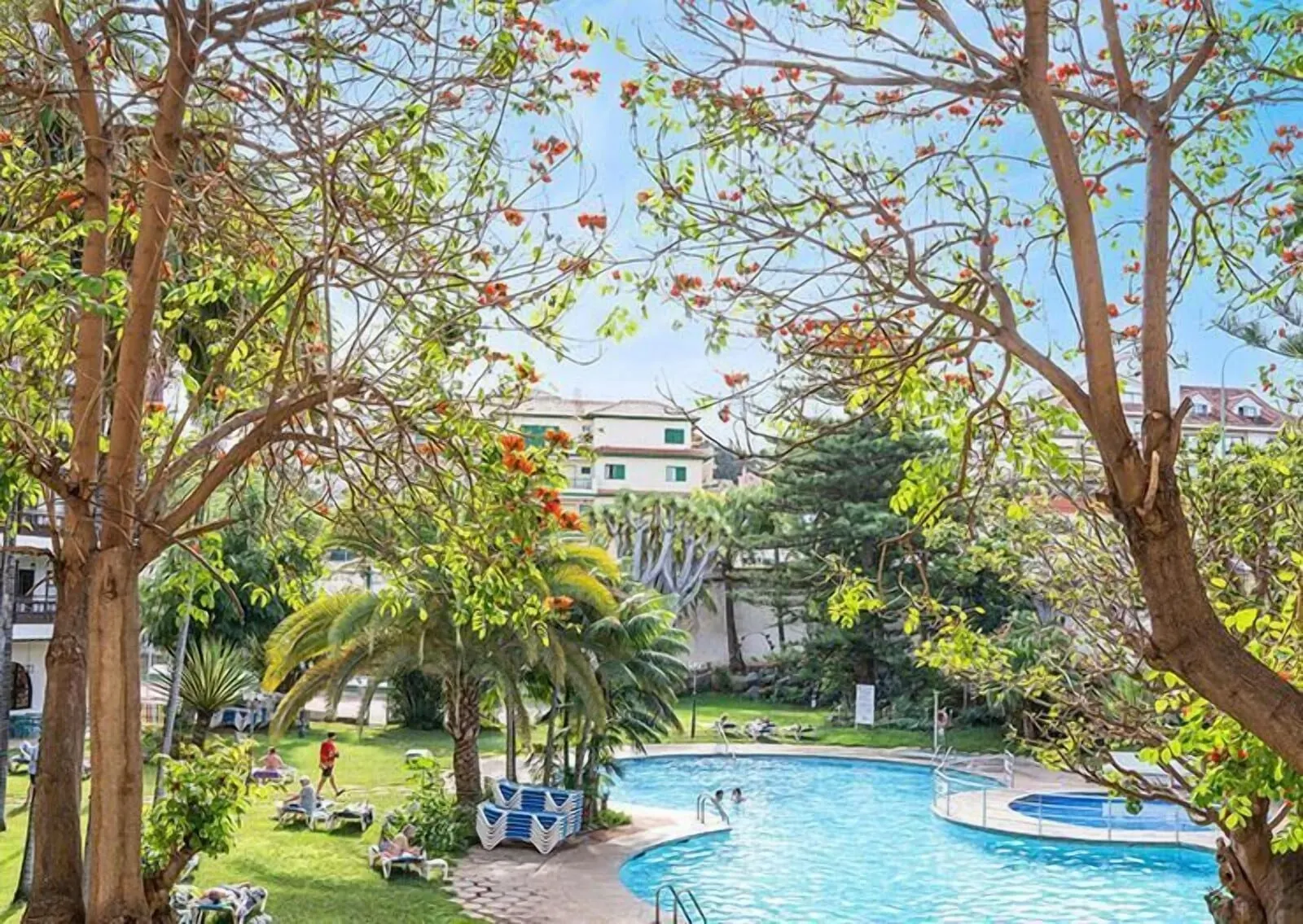 Coral Teide Mar: A pool surrounded by trees and greenery, with a clear sky