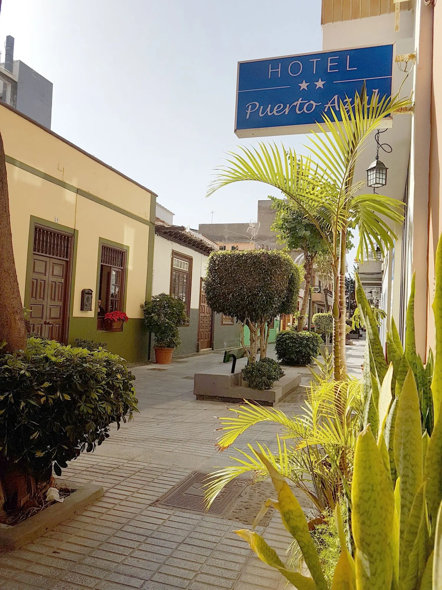 Hotel Puerto Azul: Land view from property