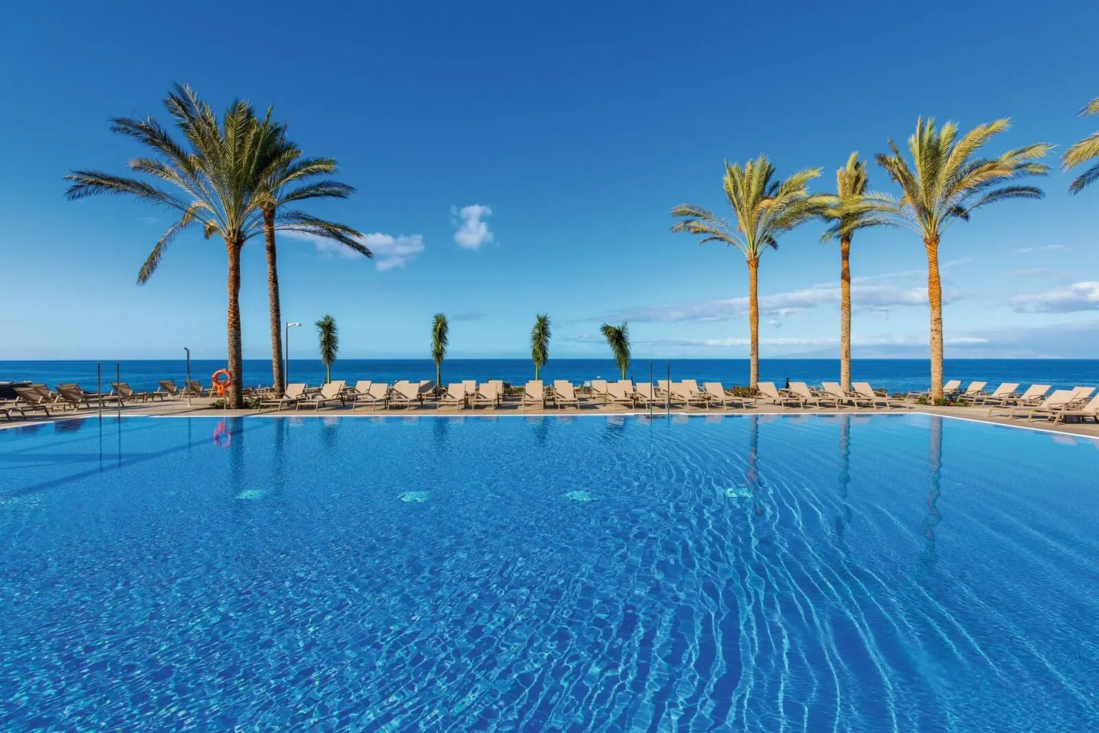 Hotel Riu Buenavista: A clear blue pool with lounge chairs and palm trees, overlooking the ocean