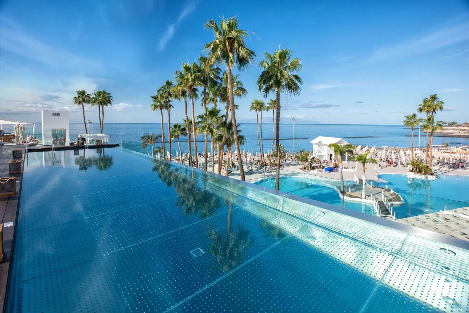 Guayarmina Princess: A infinity pool with palm trees and a view of the ocean