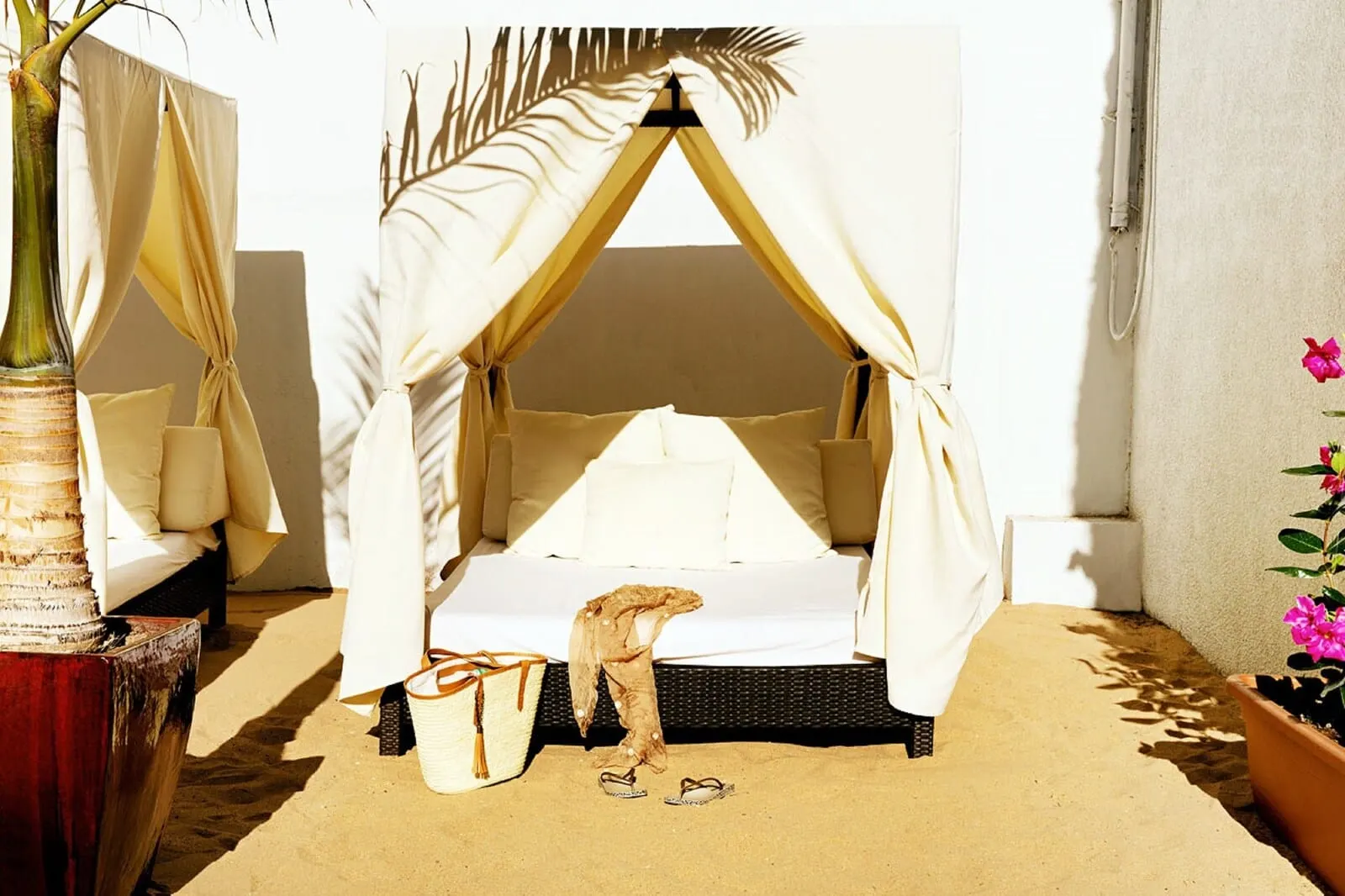 Coral Suites & Spa: A beachside bed with a canopy, a small table, and a potted plant