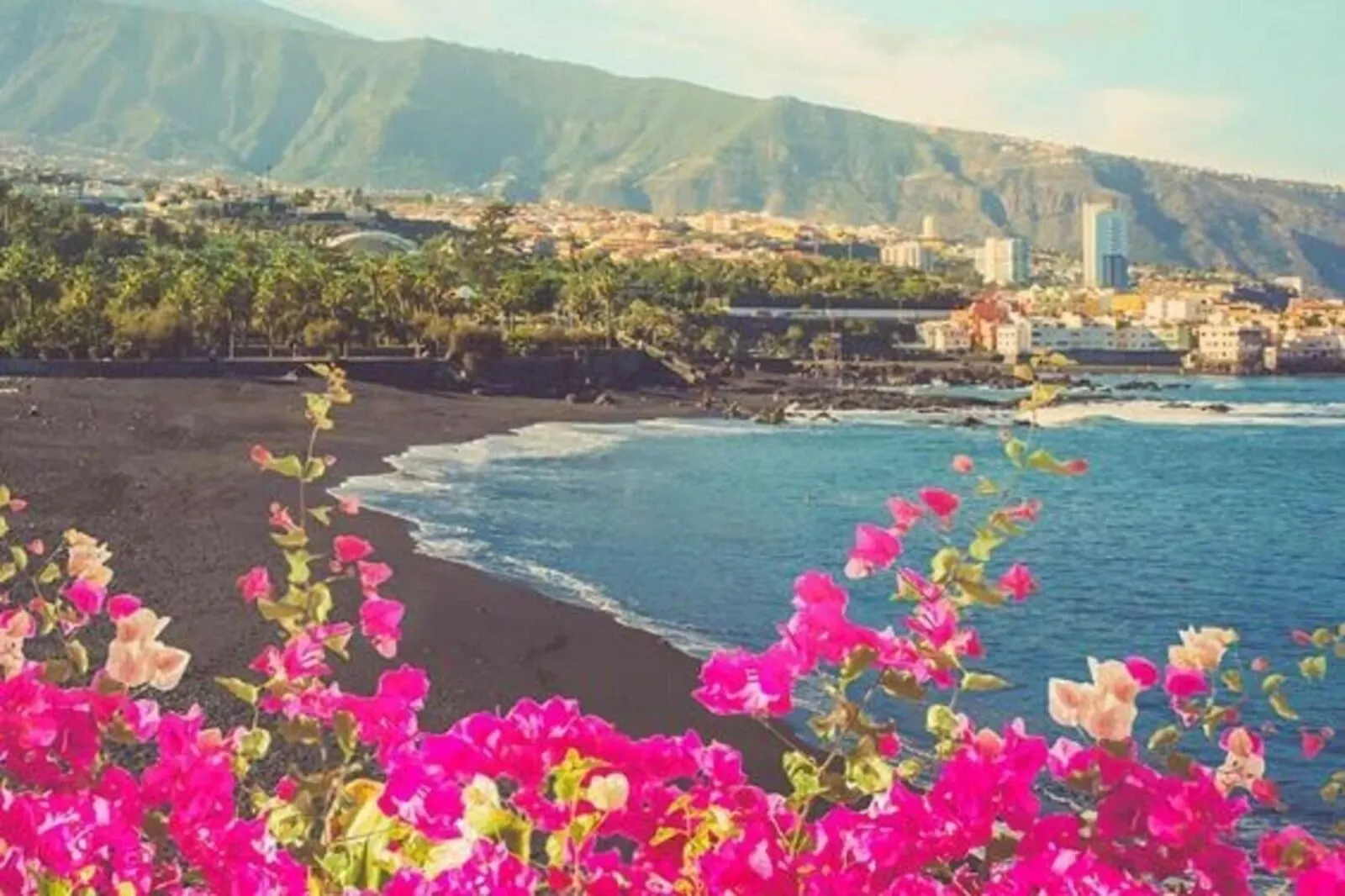 FERGUS Puerto de la Cruz: A coastal town with a beach, mountains, and a cityscape in the background