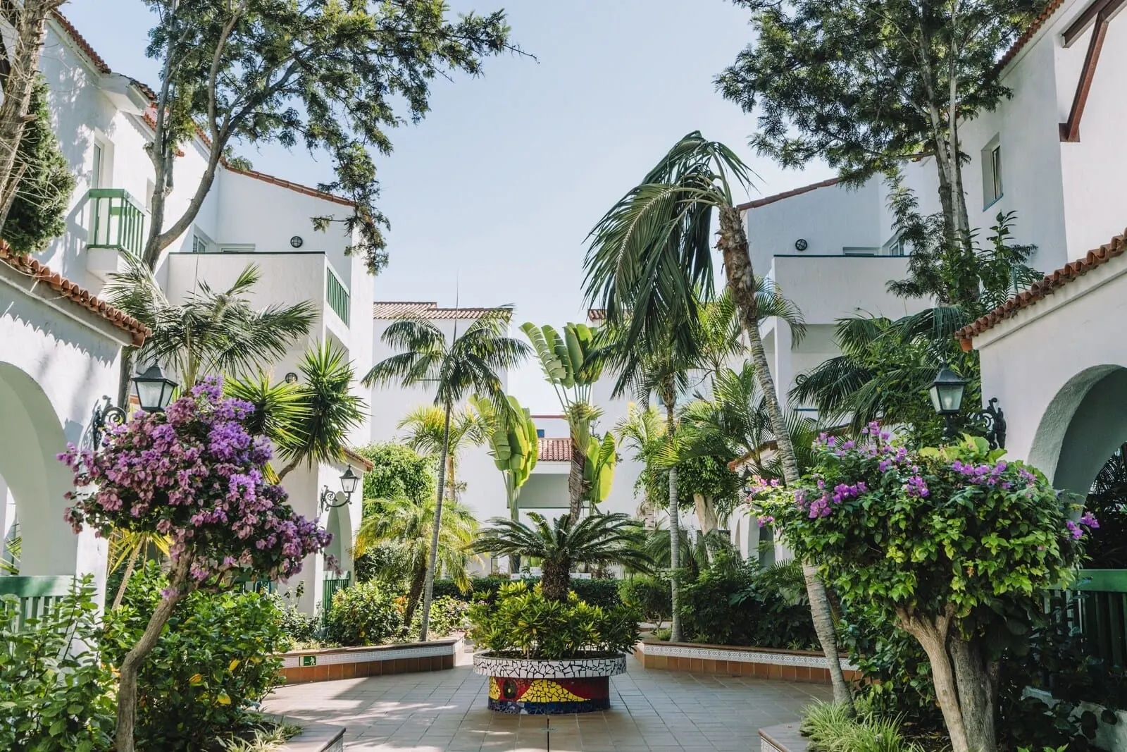 Park Club Europe: A courtyard with white buildings, palm trees, and purple flowering plants