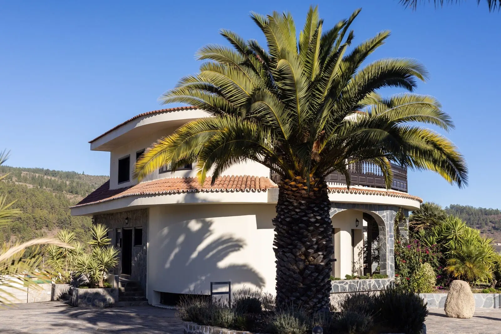 Hotel Alta Montaña: A two-story house with a curved roof, a stone facade, and a palm tree in the front yard
