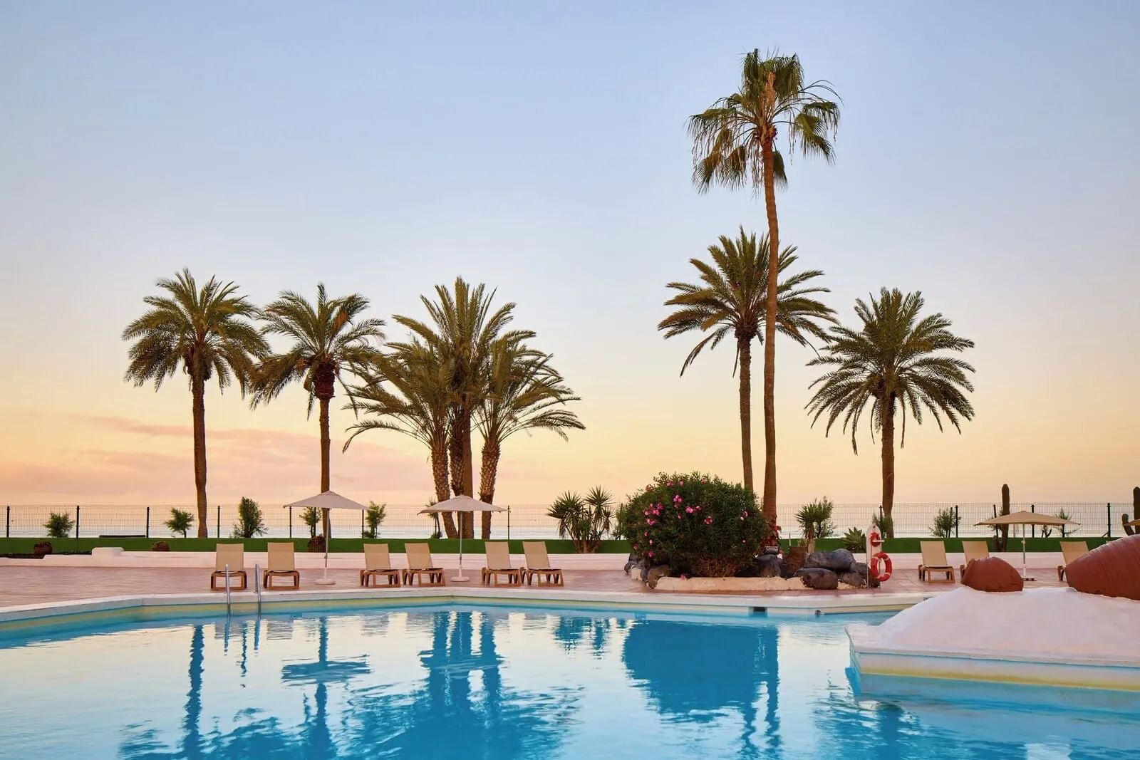 Sol Tenerife: A pool area with lounge chairs and umbrellas, surrounded by palm trees and a fence