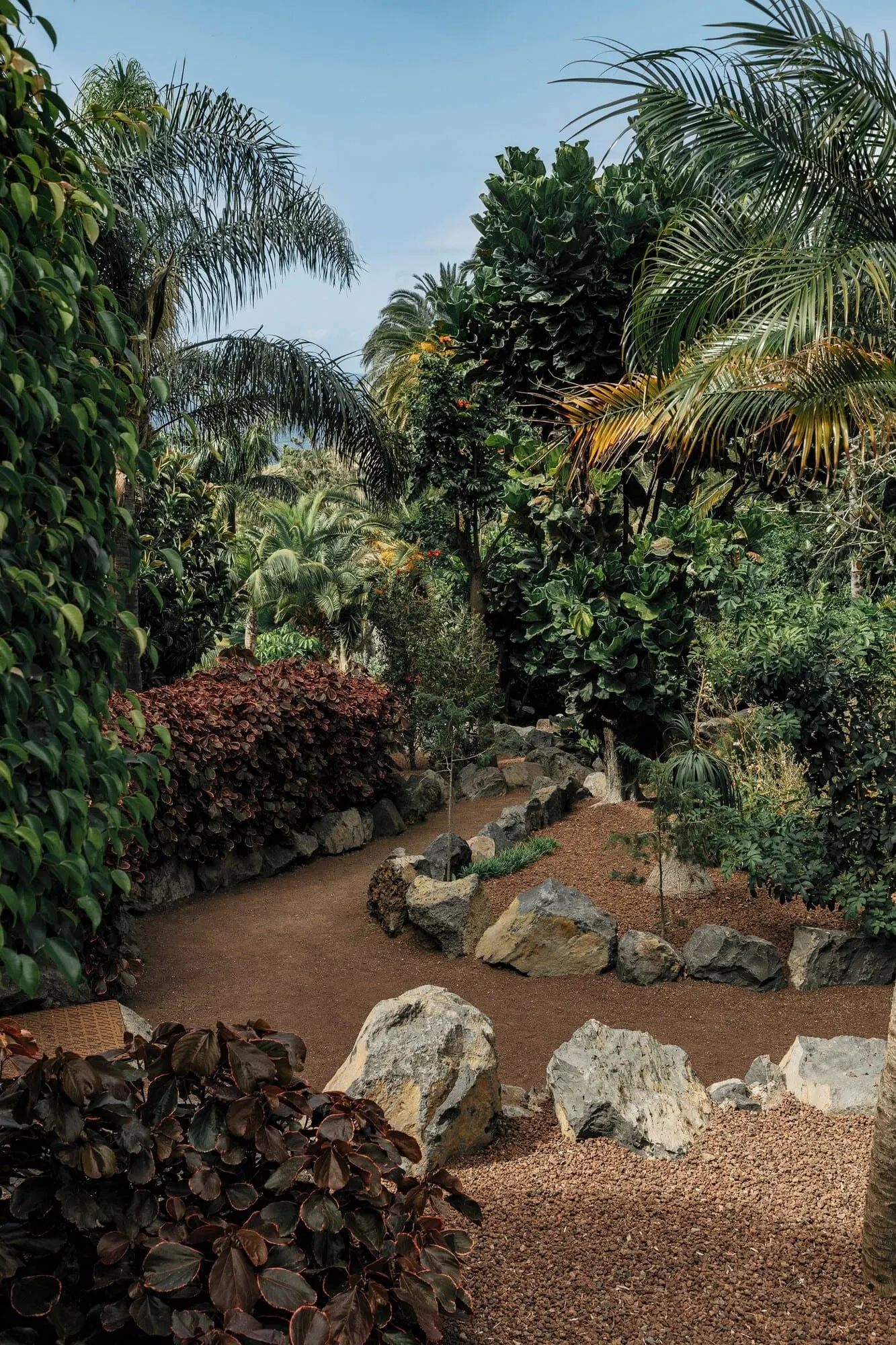 Hacienda del Conde Meliá Collection Golf & Spa: A landscaped garden with a variety of tropical plants, a gravel path, and large rocks