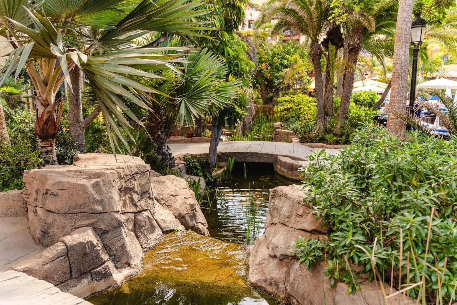 Europe Villa Cortés: A garden with a pond, rocks, and palm trees